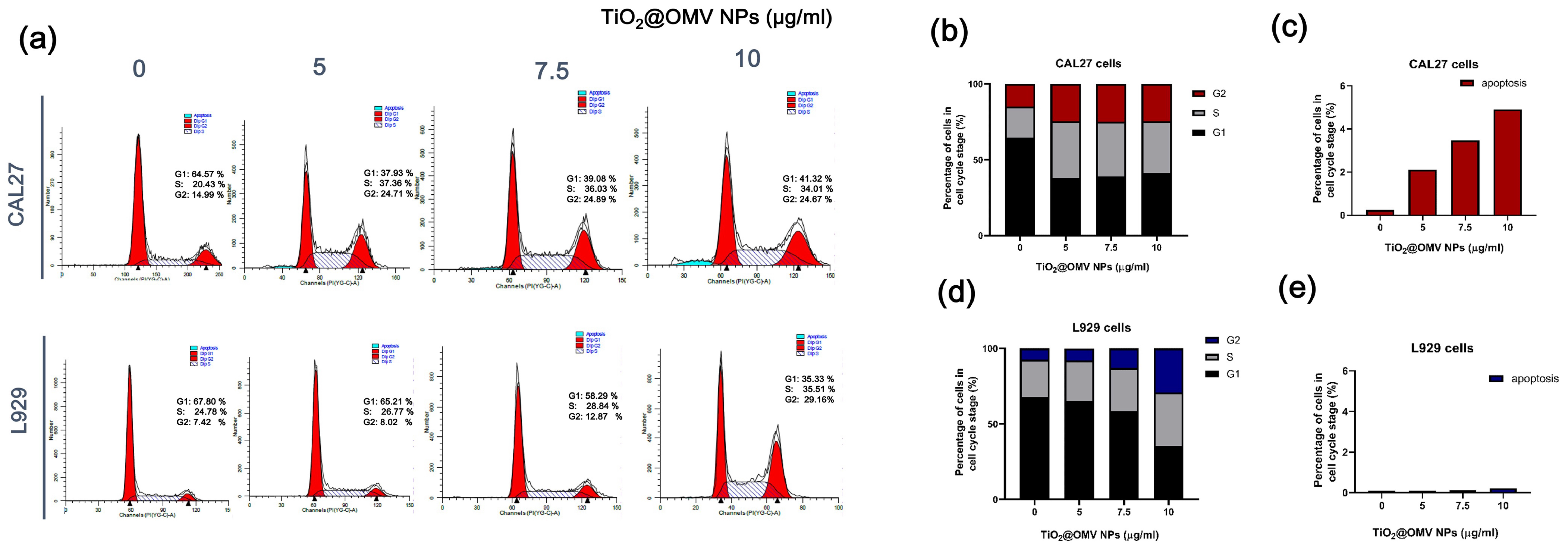 Nanomaterials 14 02045 g005