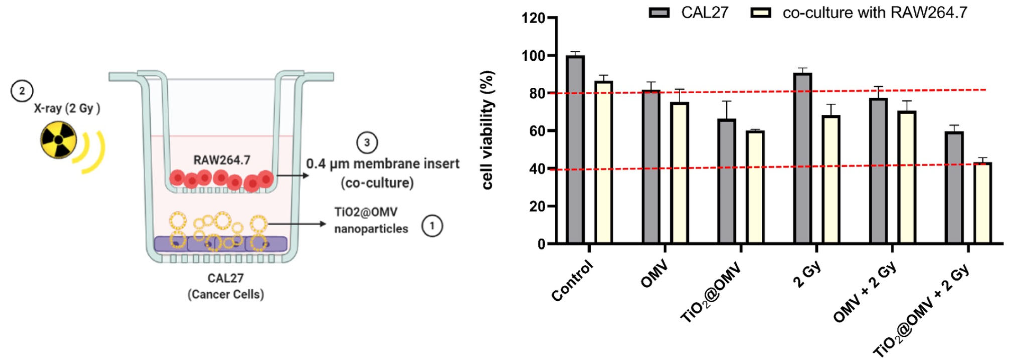 Nanomaterials 14 02045 g009