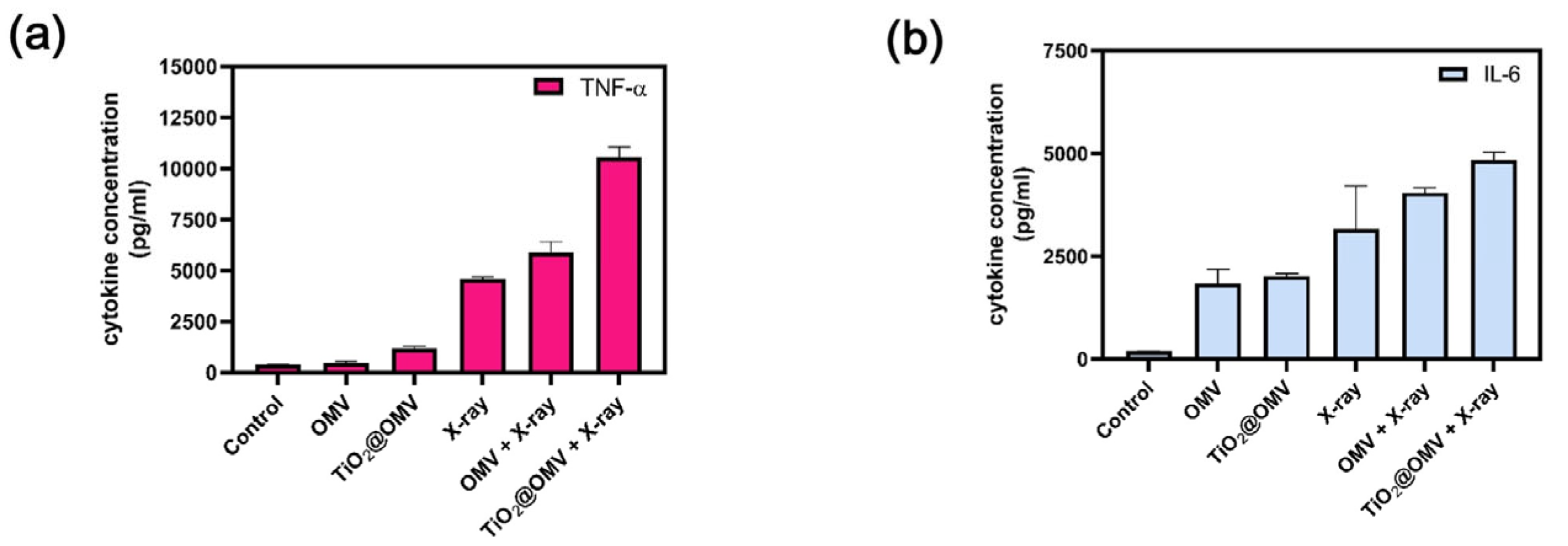 Nanomaterials 14 02045 g010