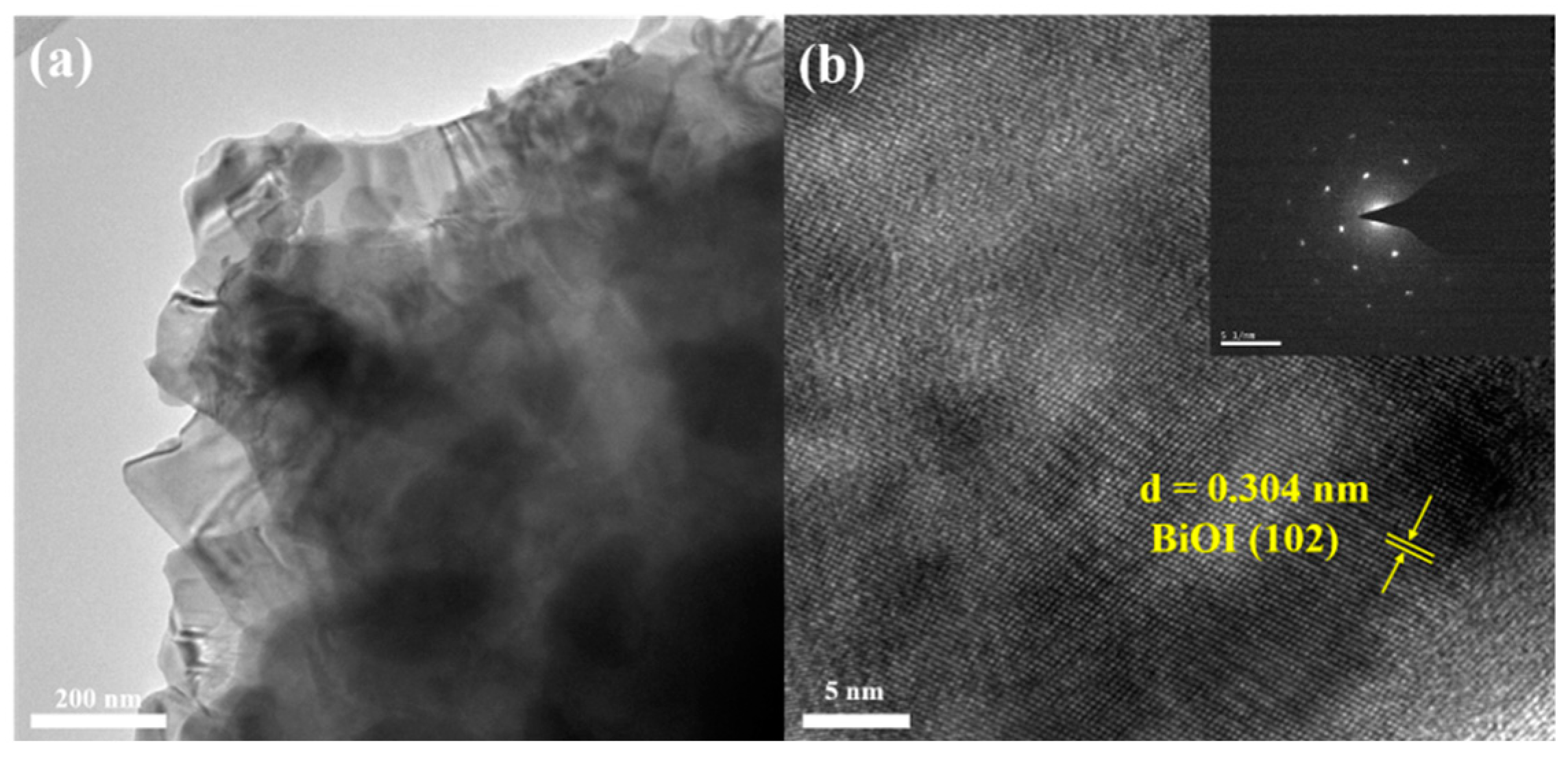 Nanomaterials 14 02048 g004