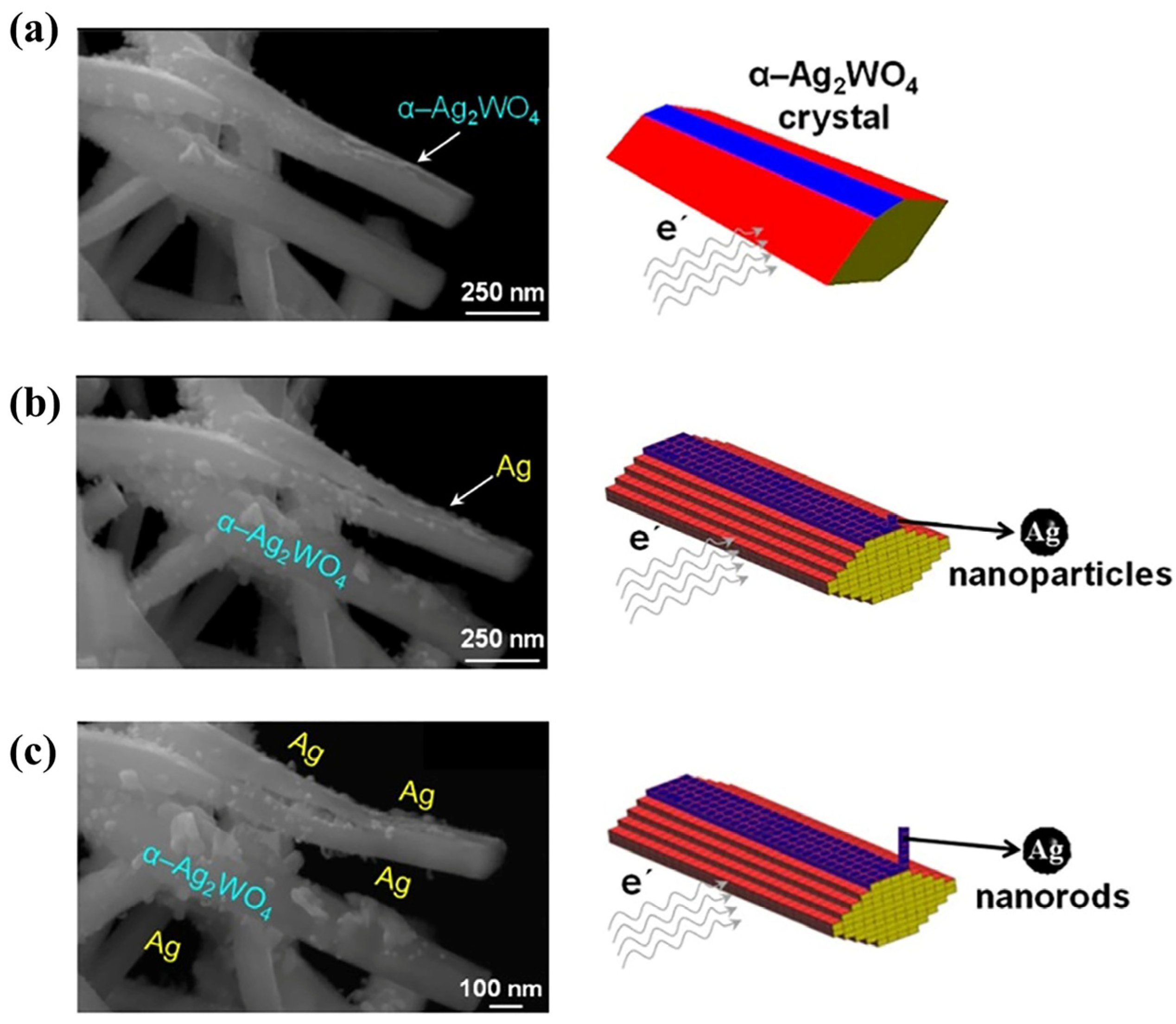 Nanomaterials 14 02051 g005 Nanomaterials 14 02051 g005