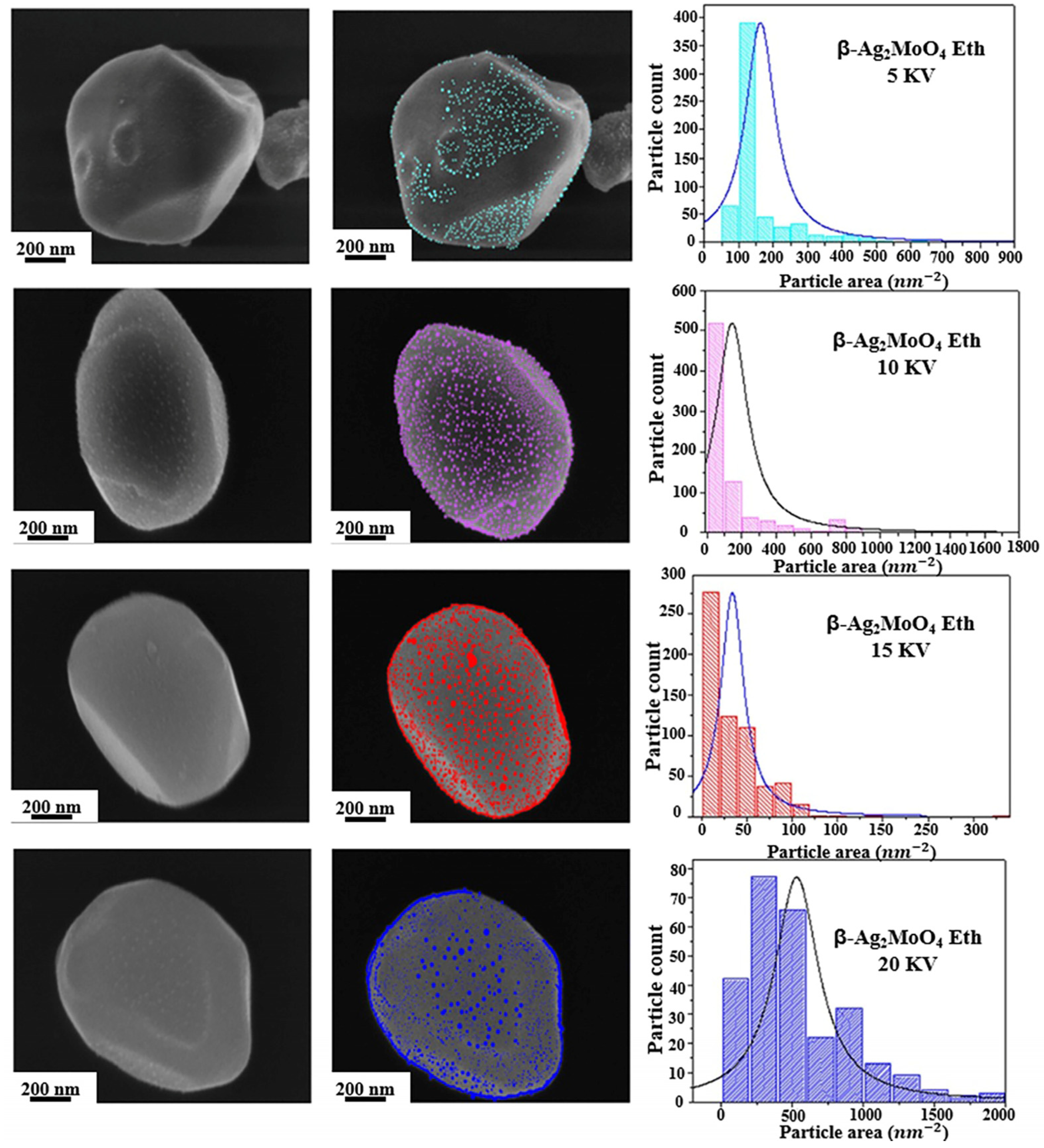 Nanomaterials 14 02051 g006 Nanomaterials 14 02051 g006