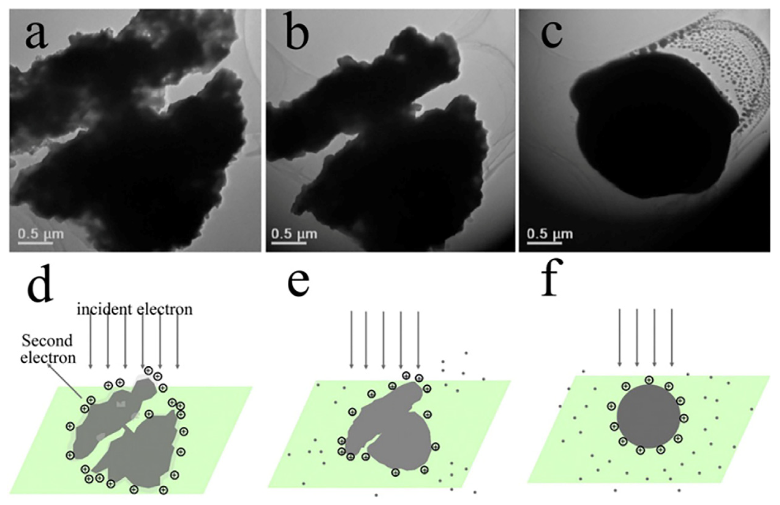 Nanomaterials 14 02051 g007 Nanomaterials 14 02051 g007