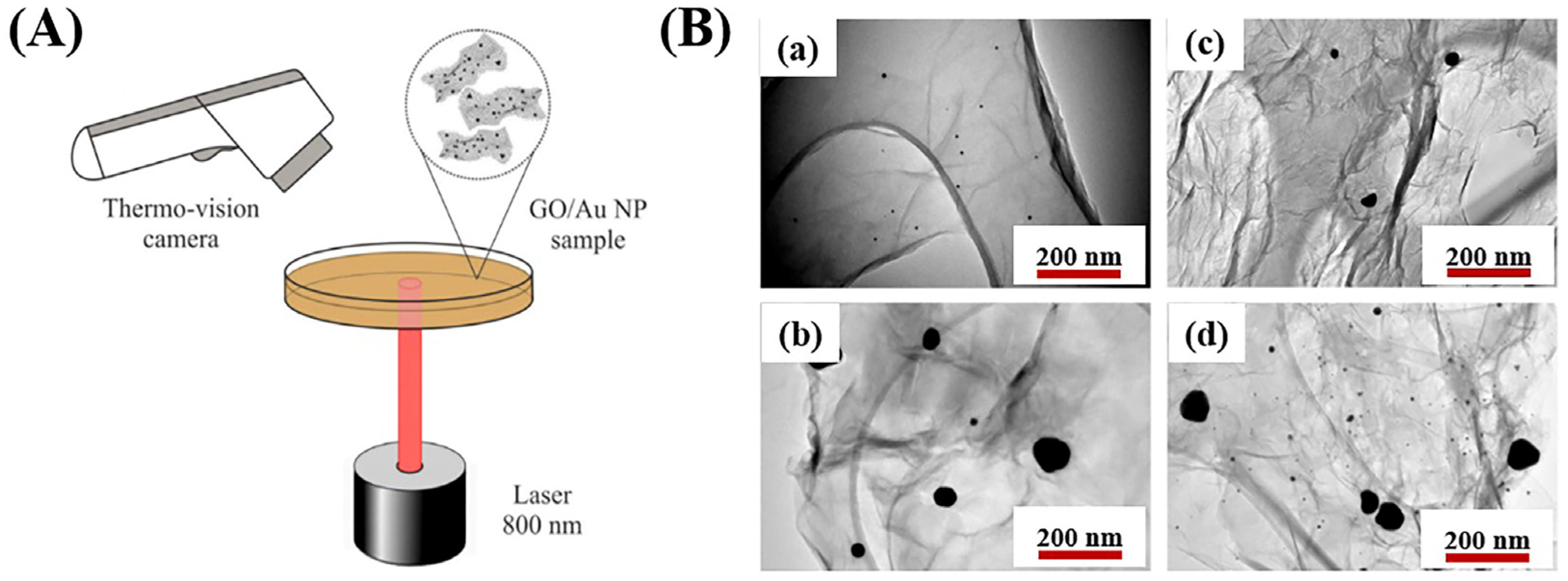 Nanomaterials 14 02051 g010 Nanomaterials 14 02051 g010
