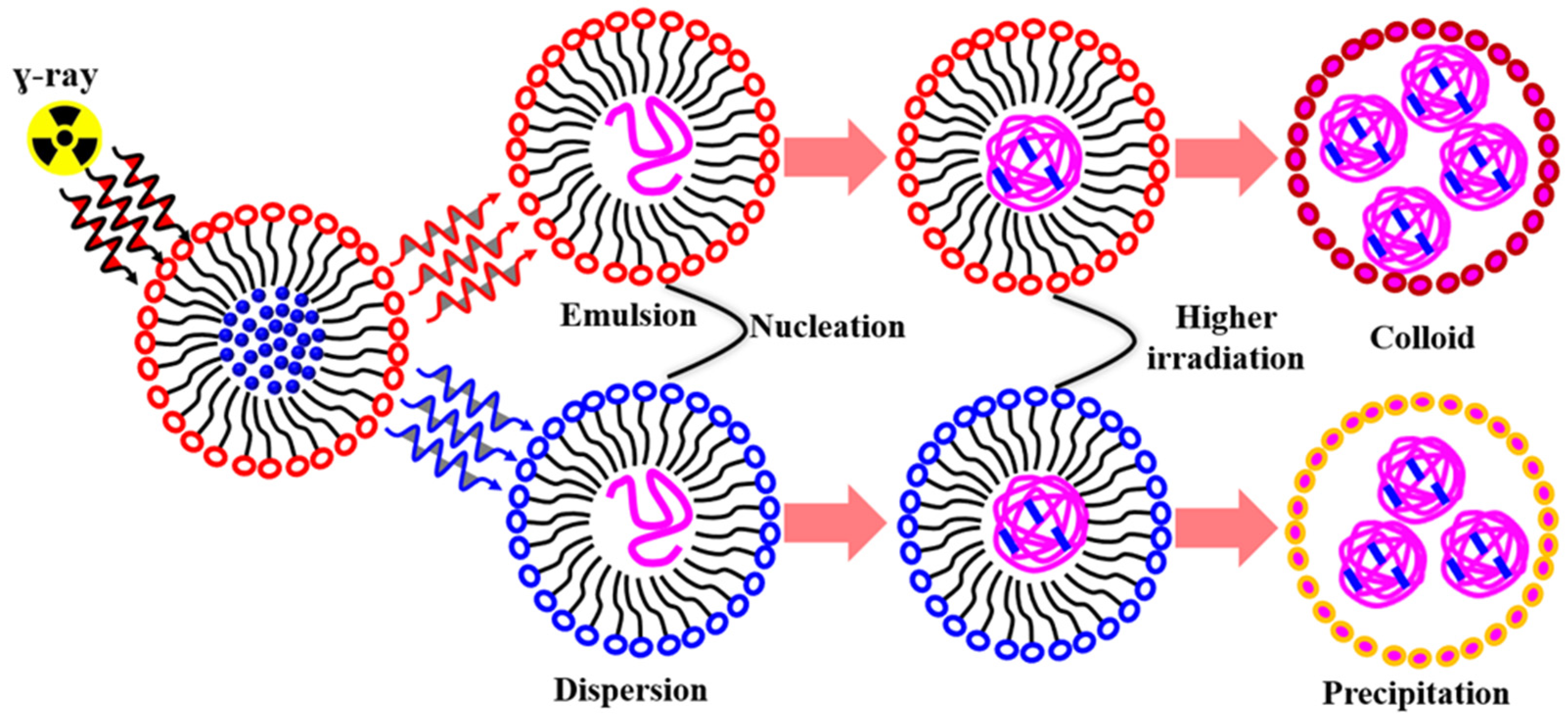 Nanomaterials 14 02051 sch007 Nanomaterials 14 02051 sch007
