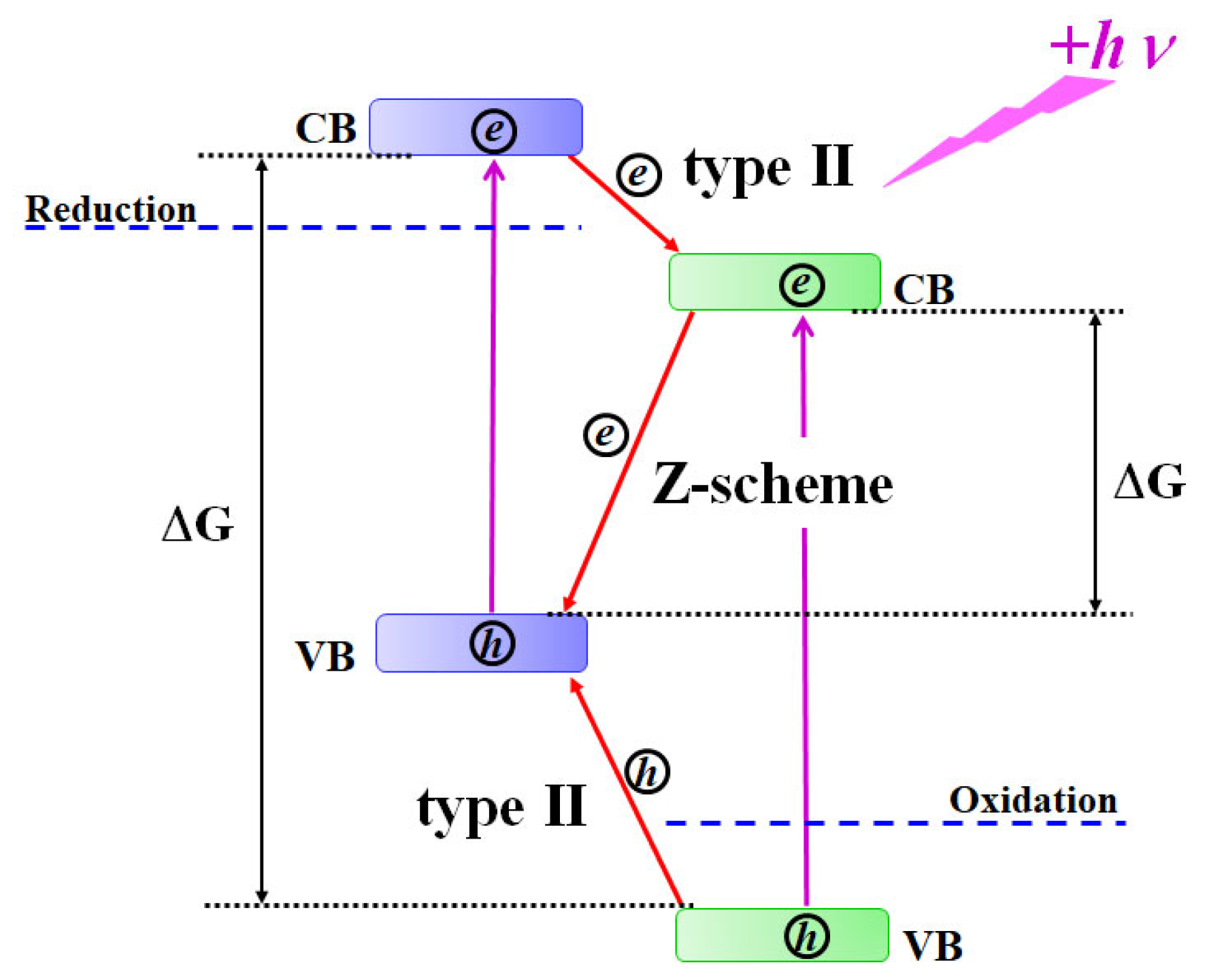 Nanomaterials 14 02057 g001