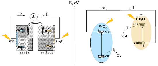 Charge Transfer Mechanism in Type II WO3/Cu2O Heterostructure