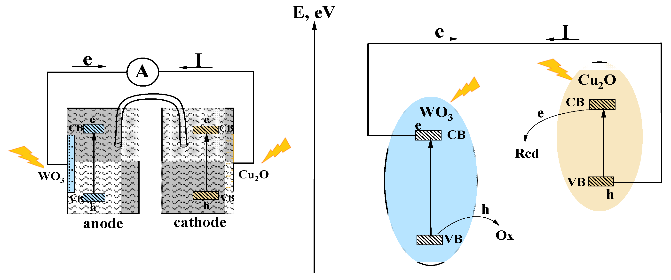 Nanomaterials 14 02057 g007