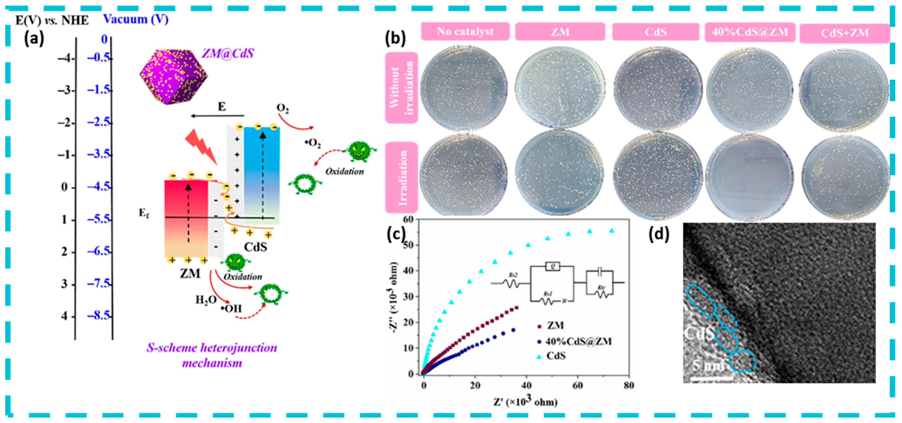 Nanomaterials 15 00002 g010