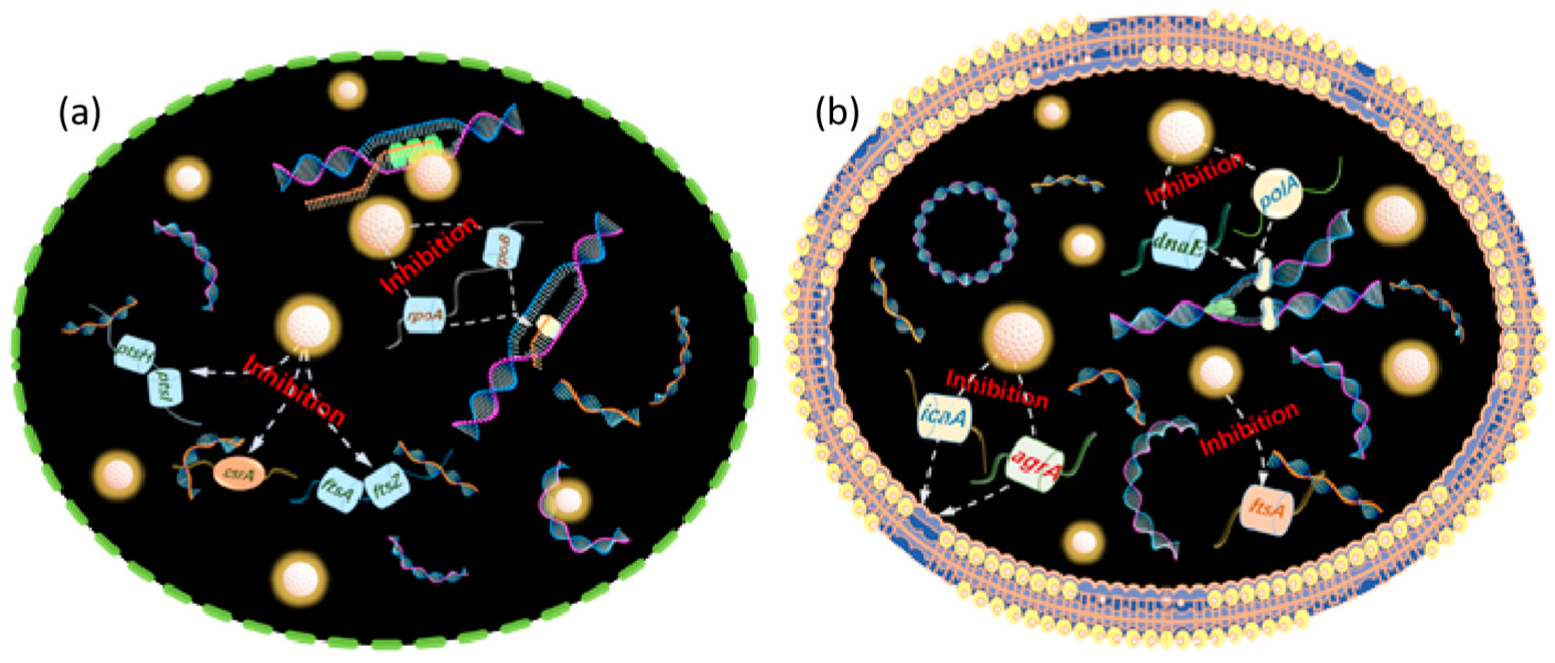 Nanomaterials 15 00002 g011