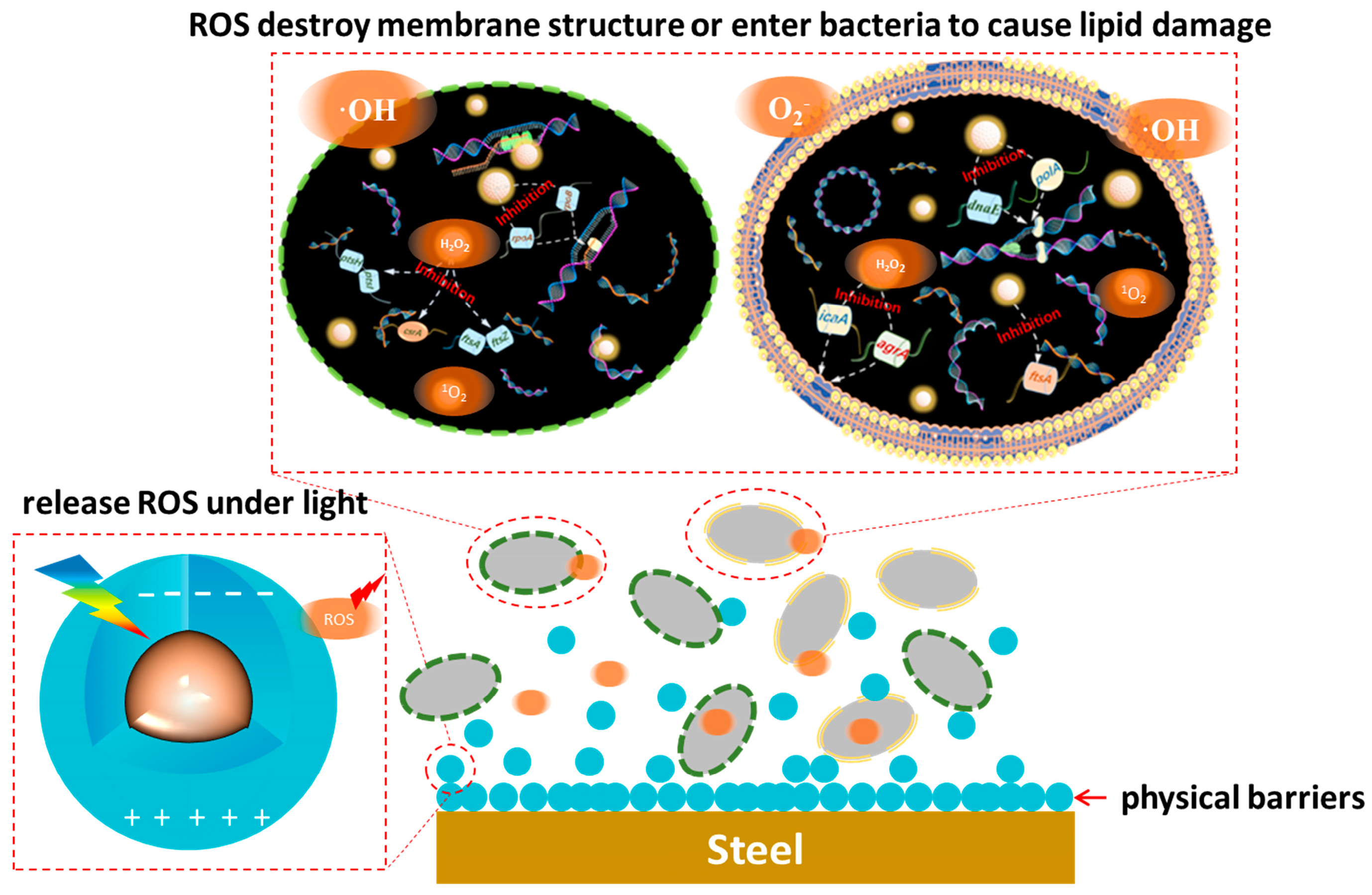 Nanomaterials 15 00002 g012