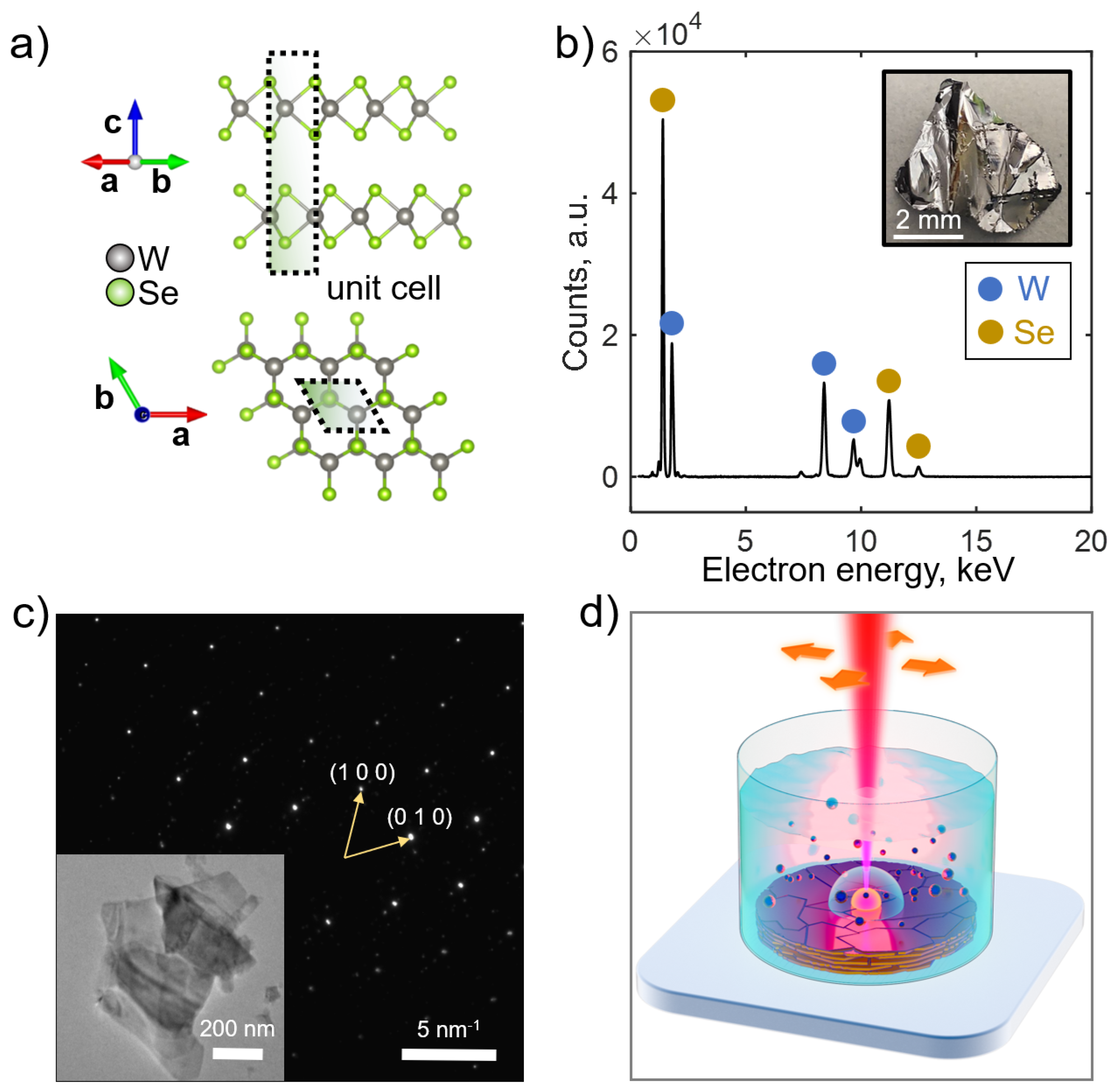 Nanomaterials 15 00004 g001