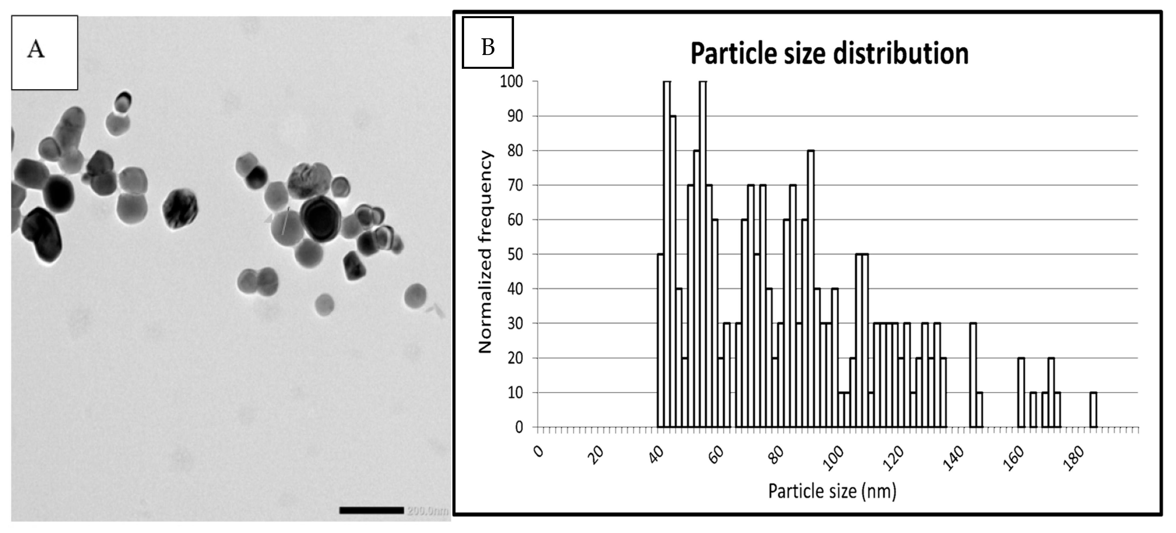 Nanomaterials 15 00008 g001