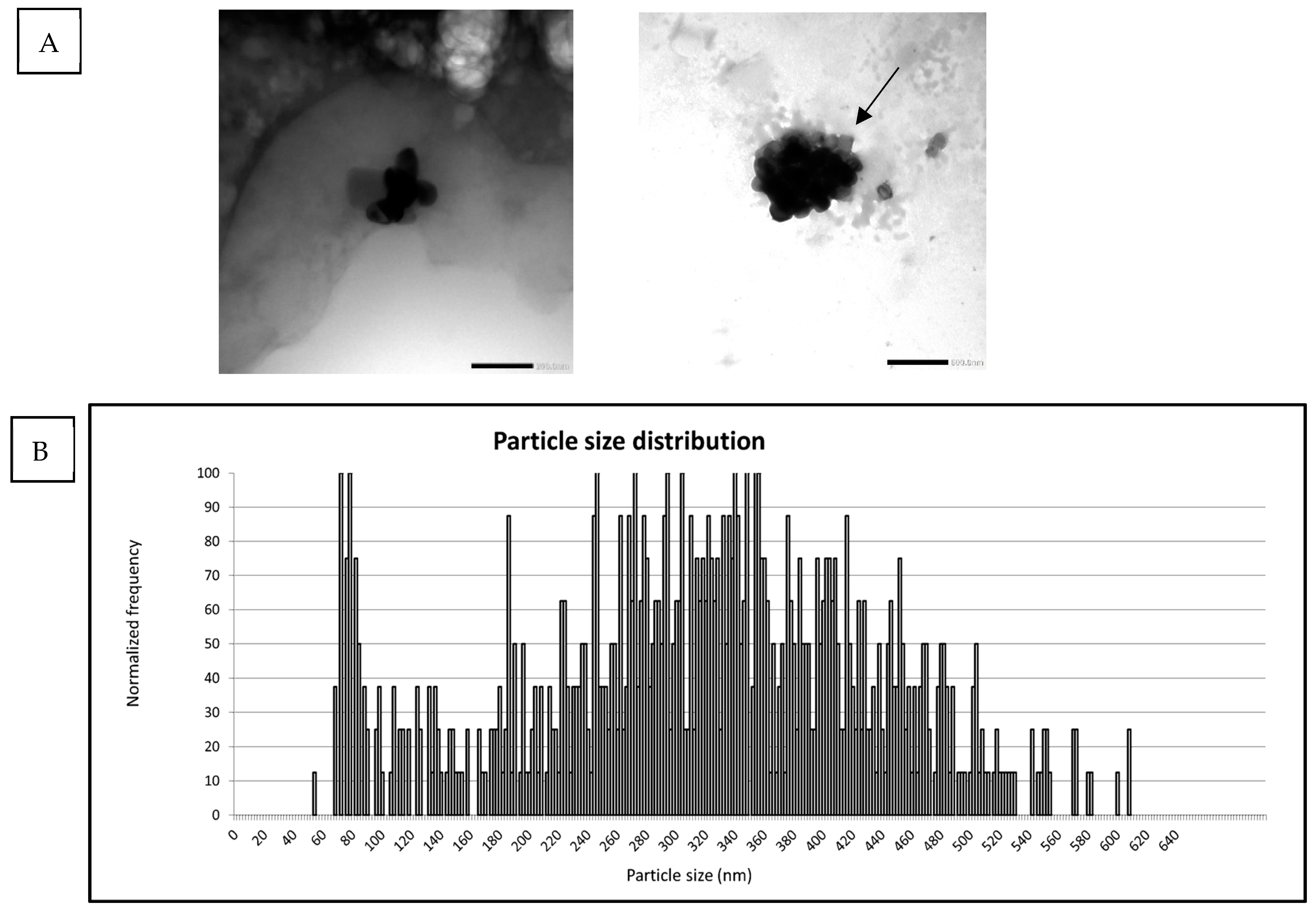 Nanomaterials 15 00008 g002