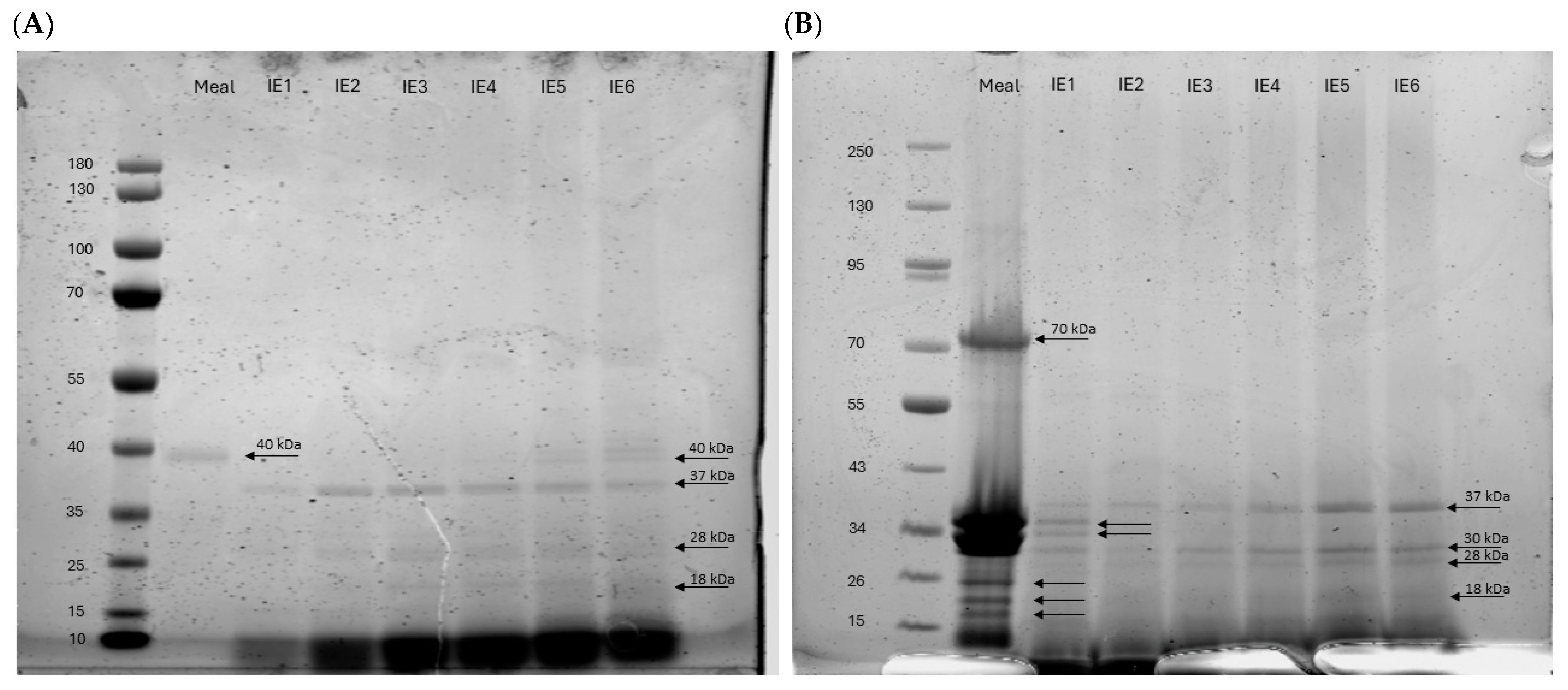 Nanomaterials 15 00008 g006