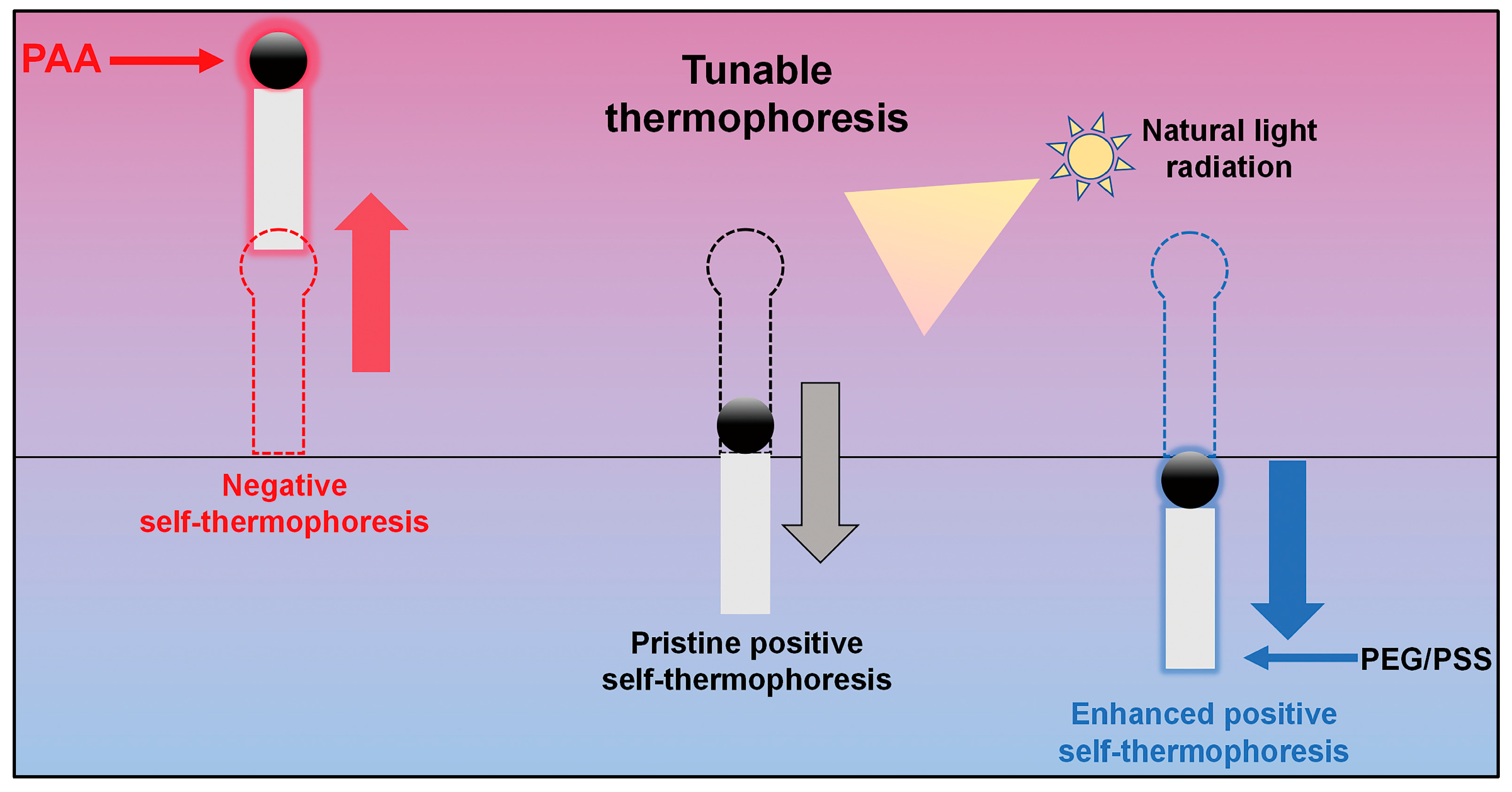 Nanomaterials 15 00013 g010