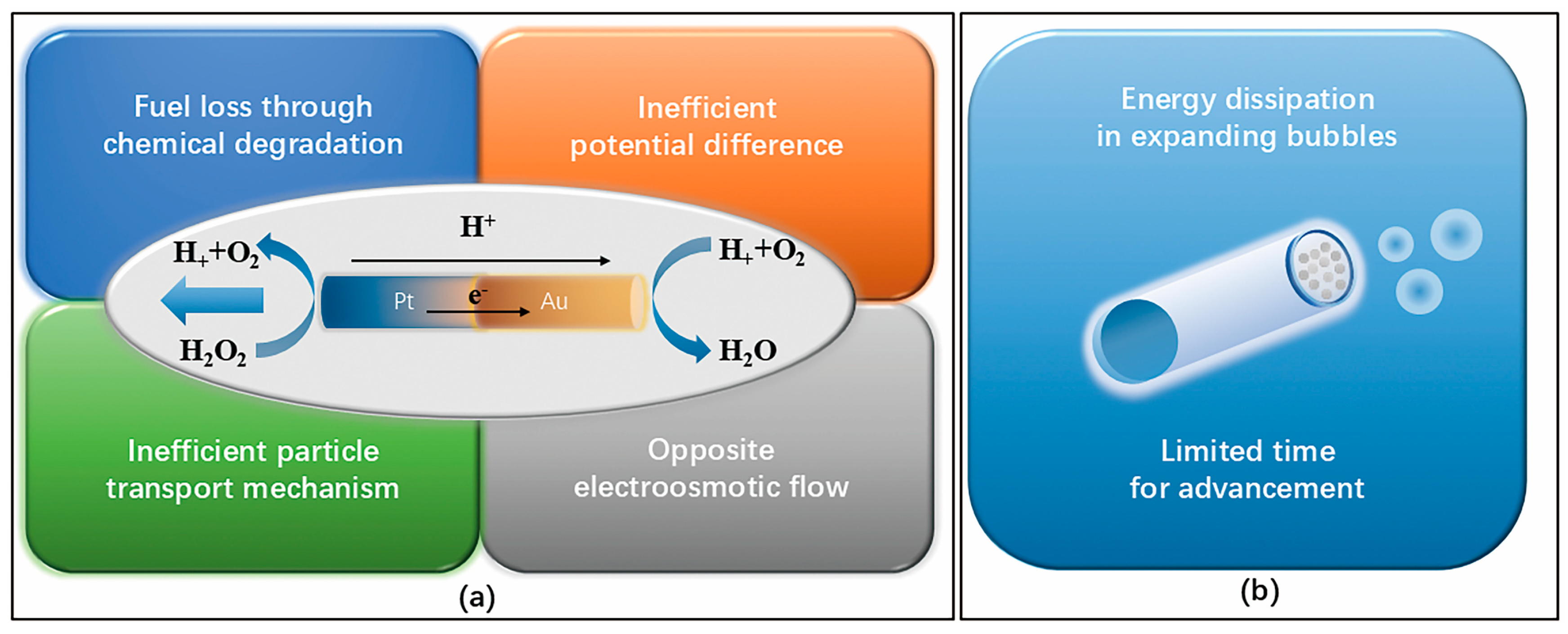 Nanomaterials 15 00013 g011