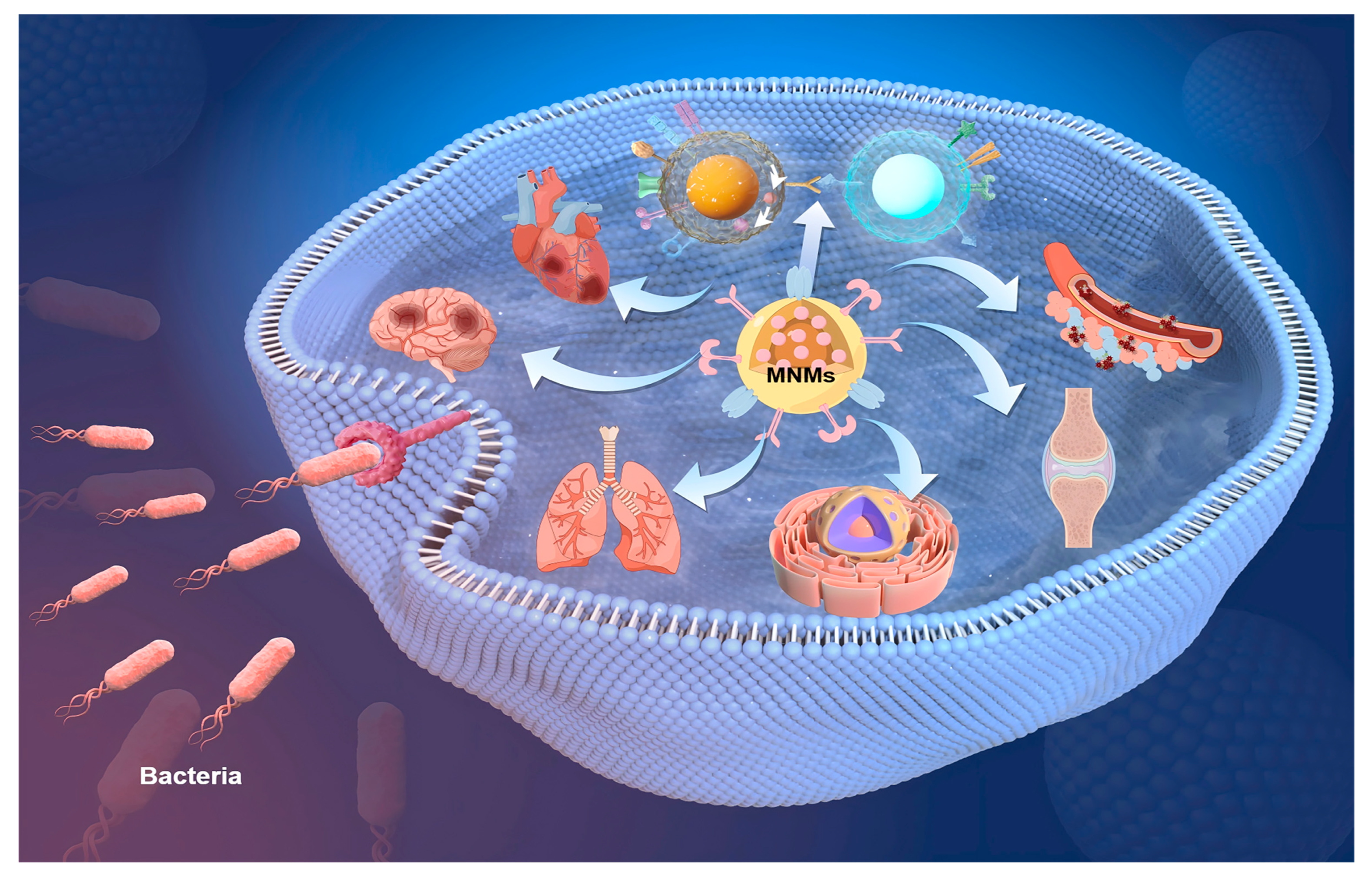 Nanomaterials 15 00013 g015
