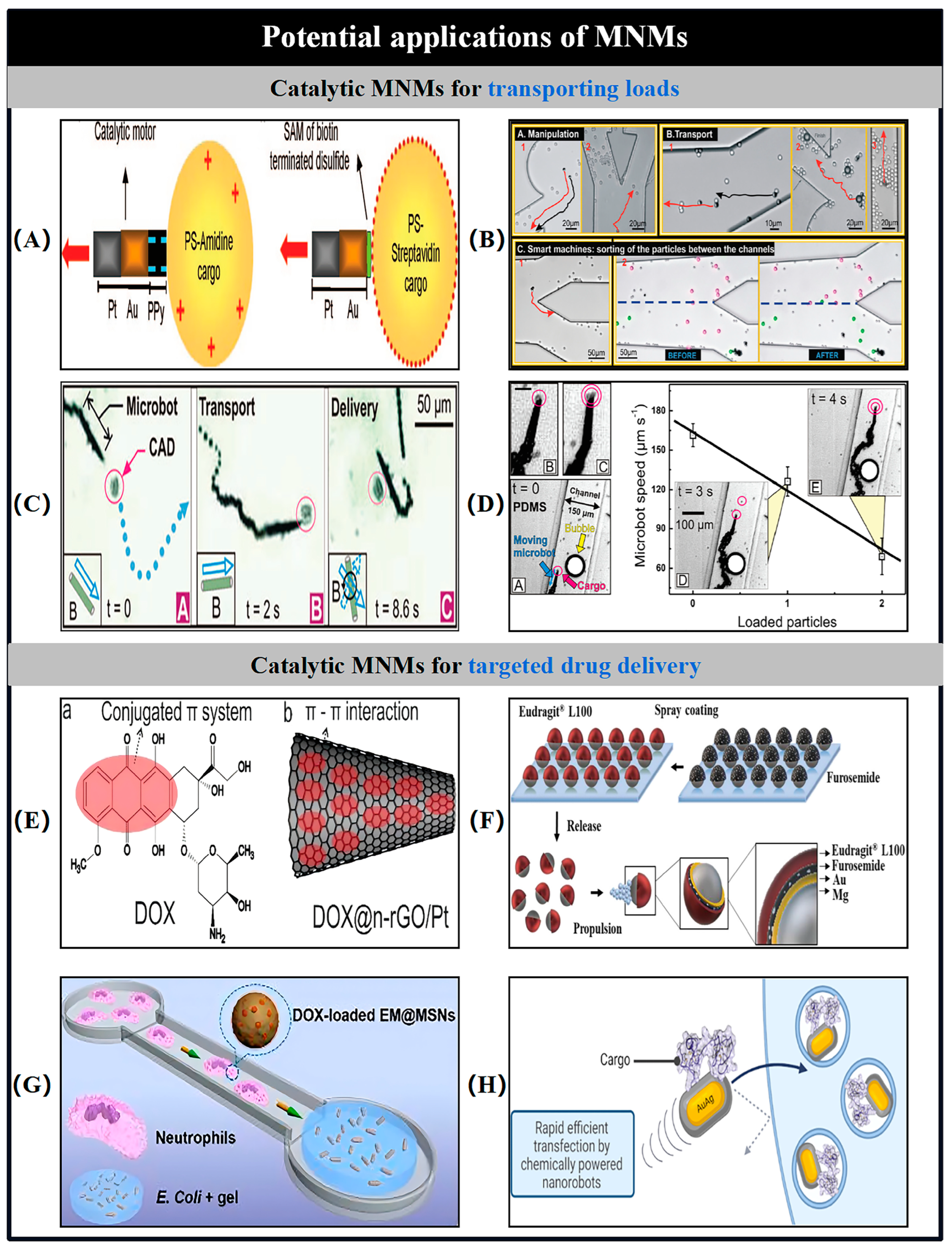 Nanomaterials 15 00013 g016