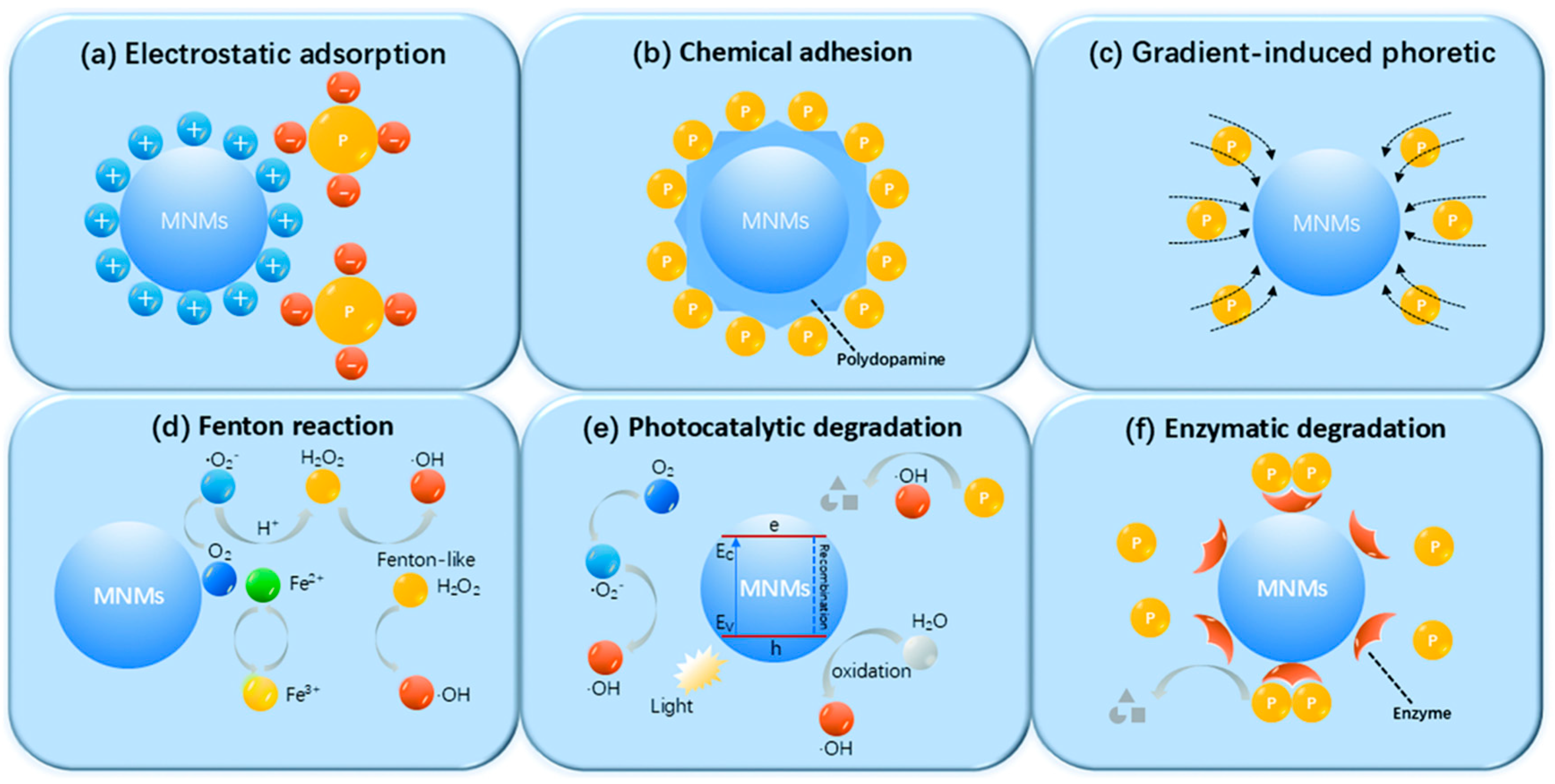 Nanomaterials 15 00013 g018
