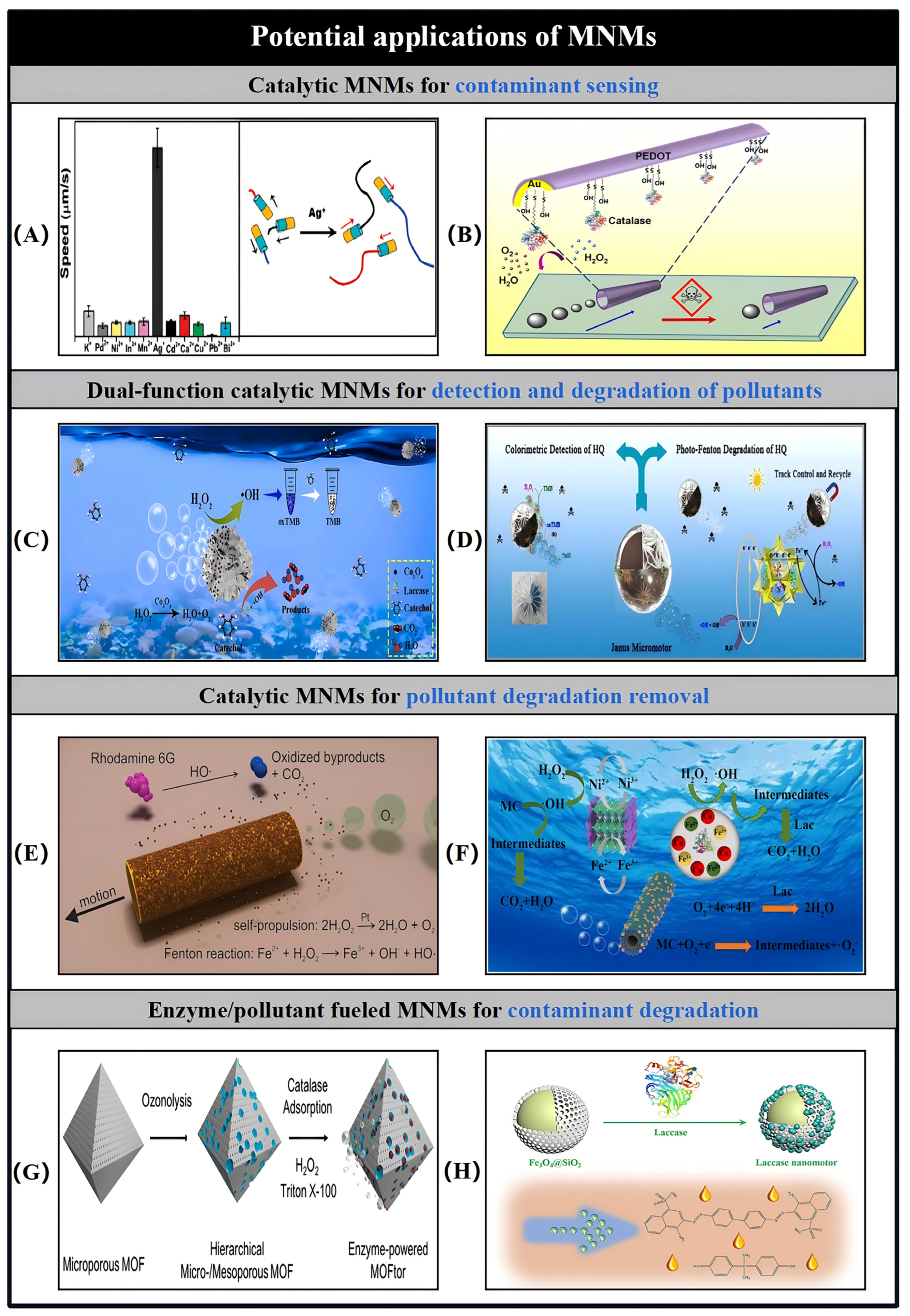 Nanomaterials 15 00013 g019