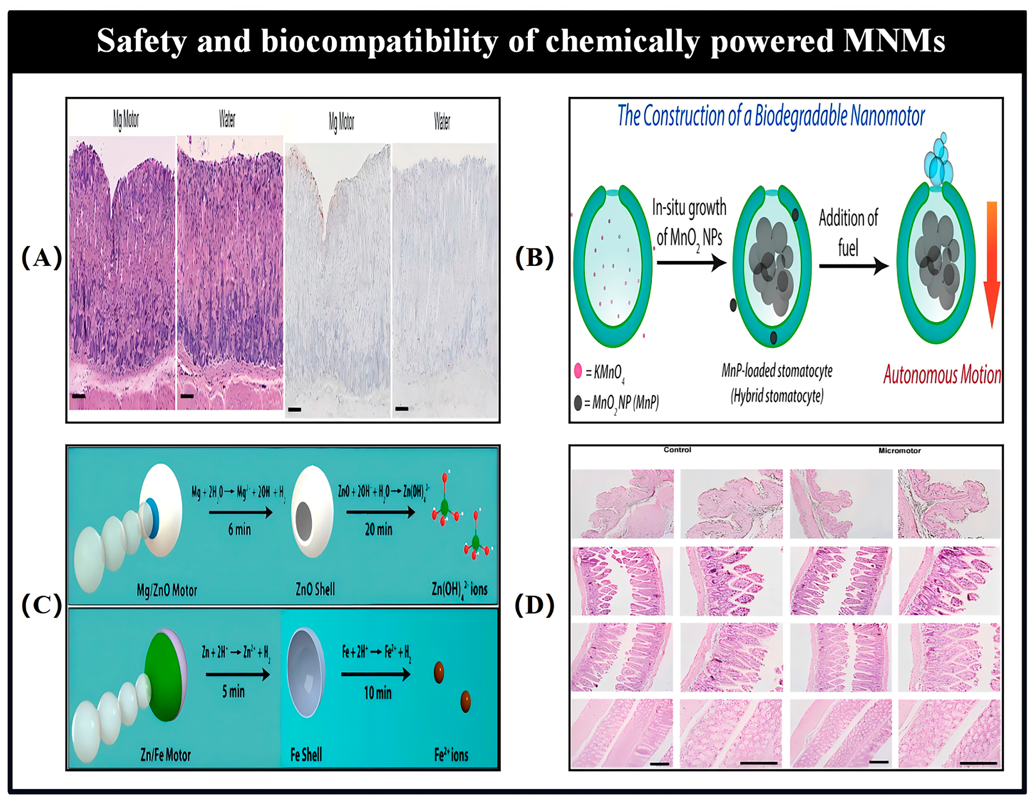 Nanomaterials 15 00013 g020