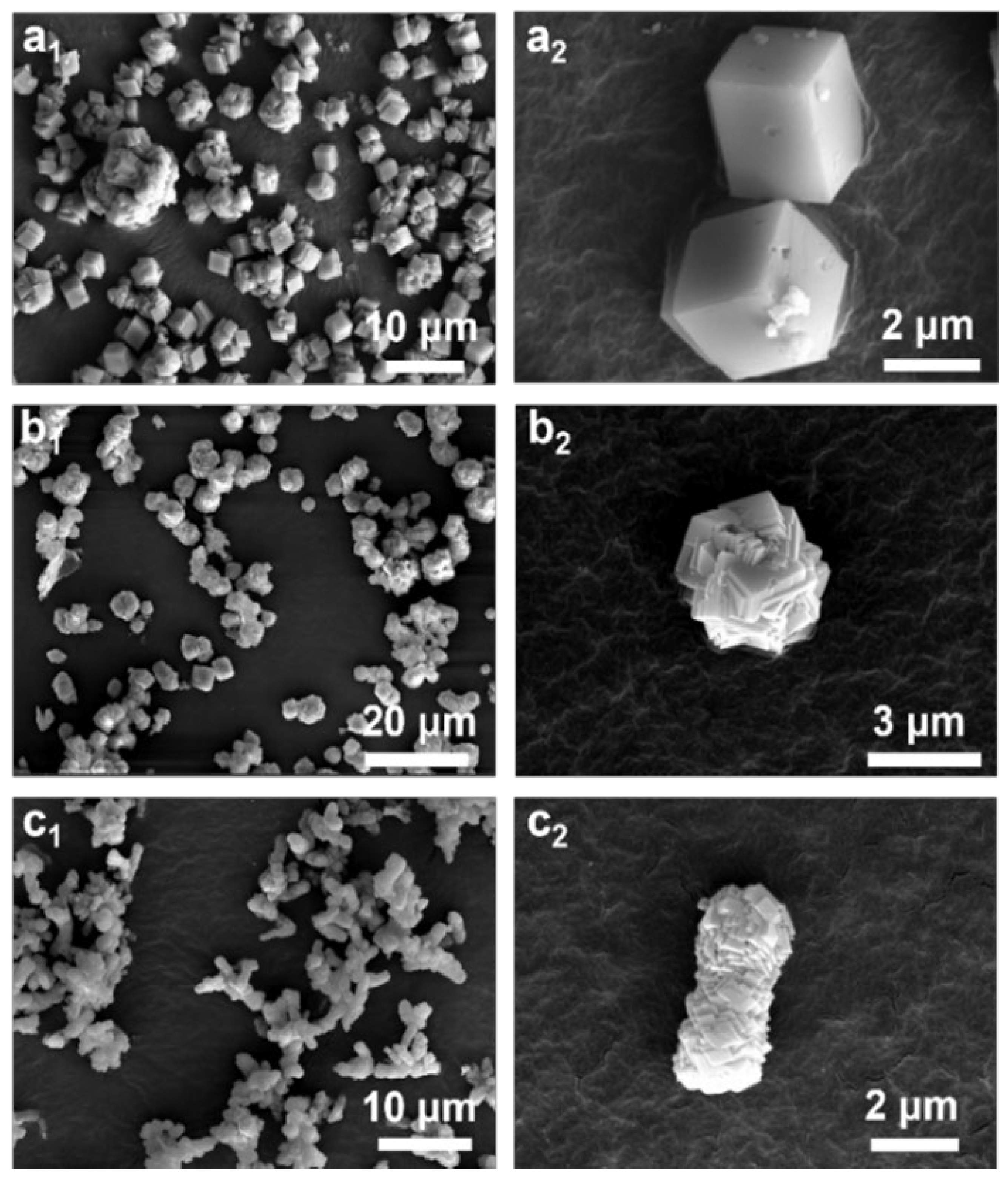 Nanomaterials 15 00016 g002