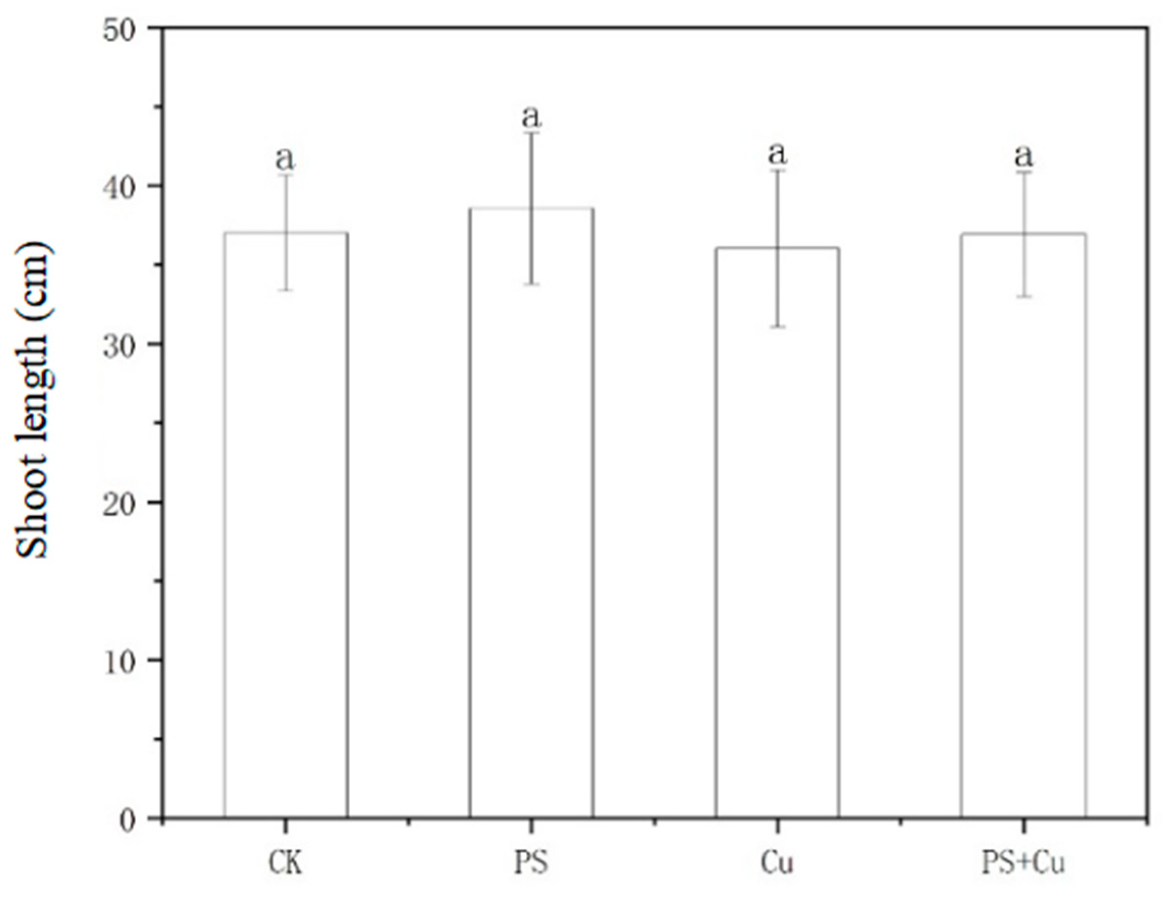 Nanomaterials 15 00017 g002