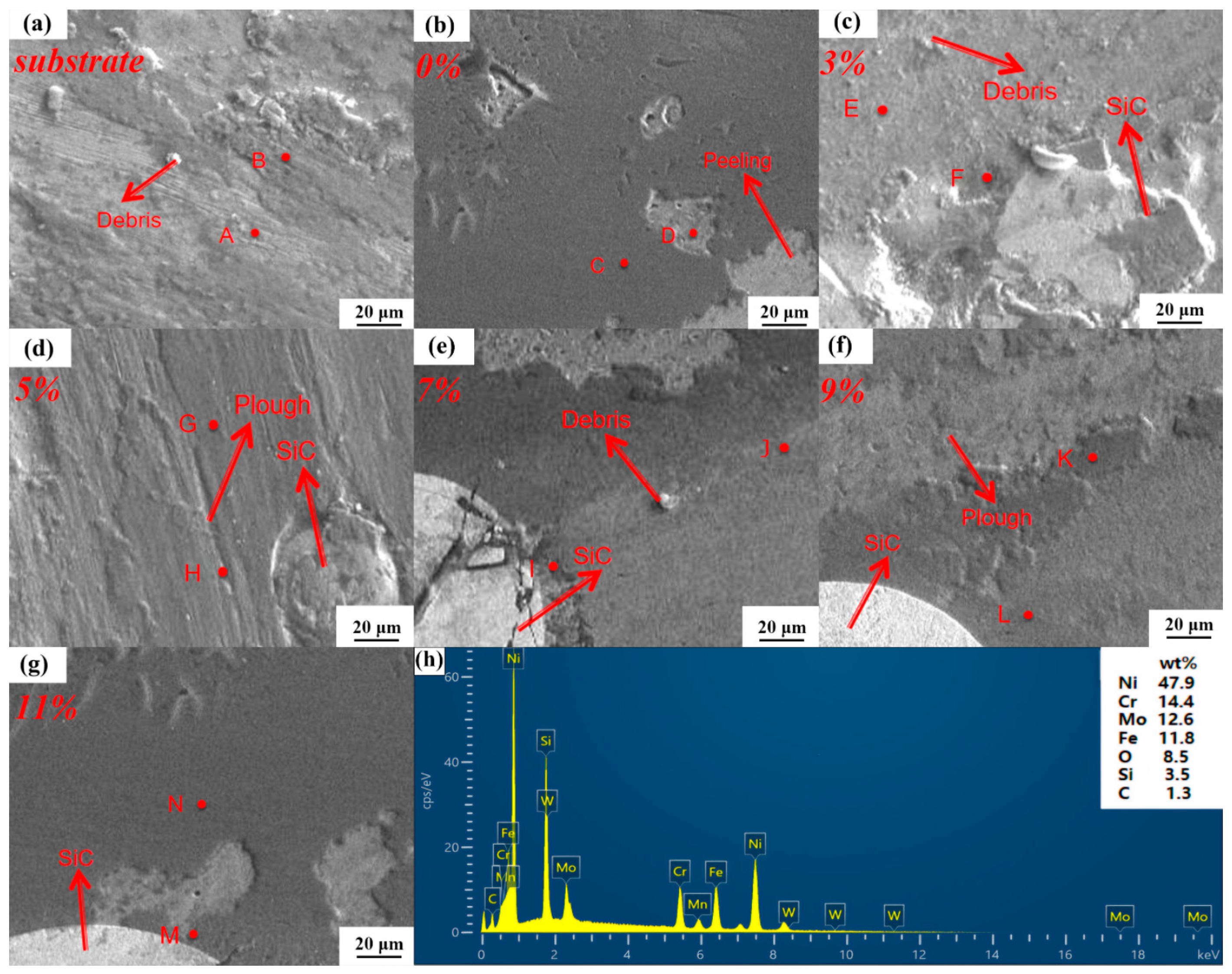 Nanomaterials 15 00018 g012