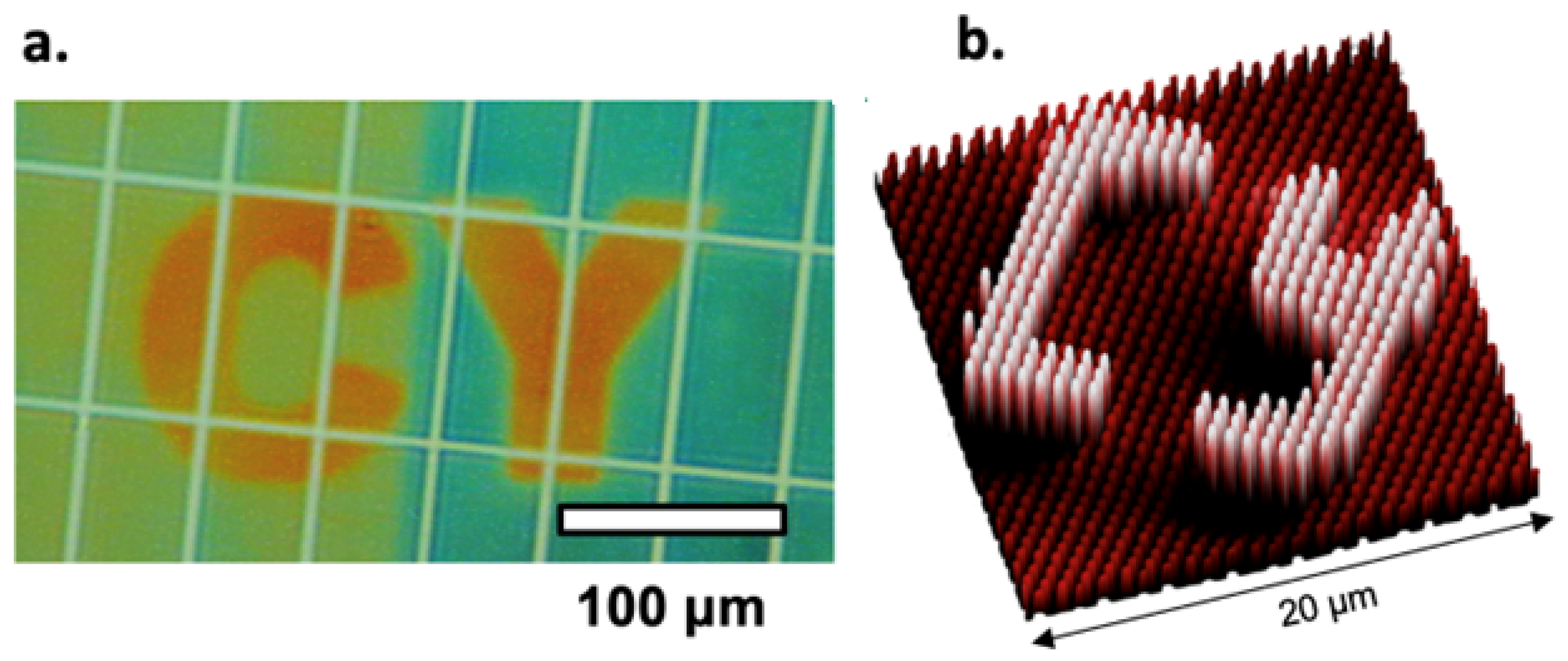 Nanomaterials 15 00027 g001