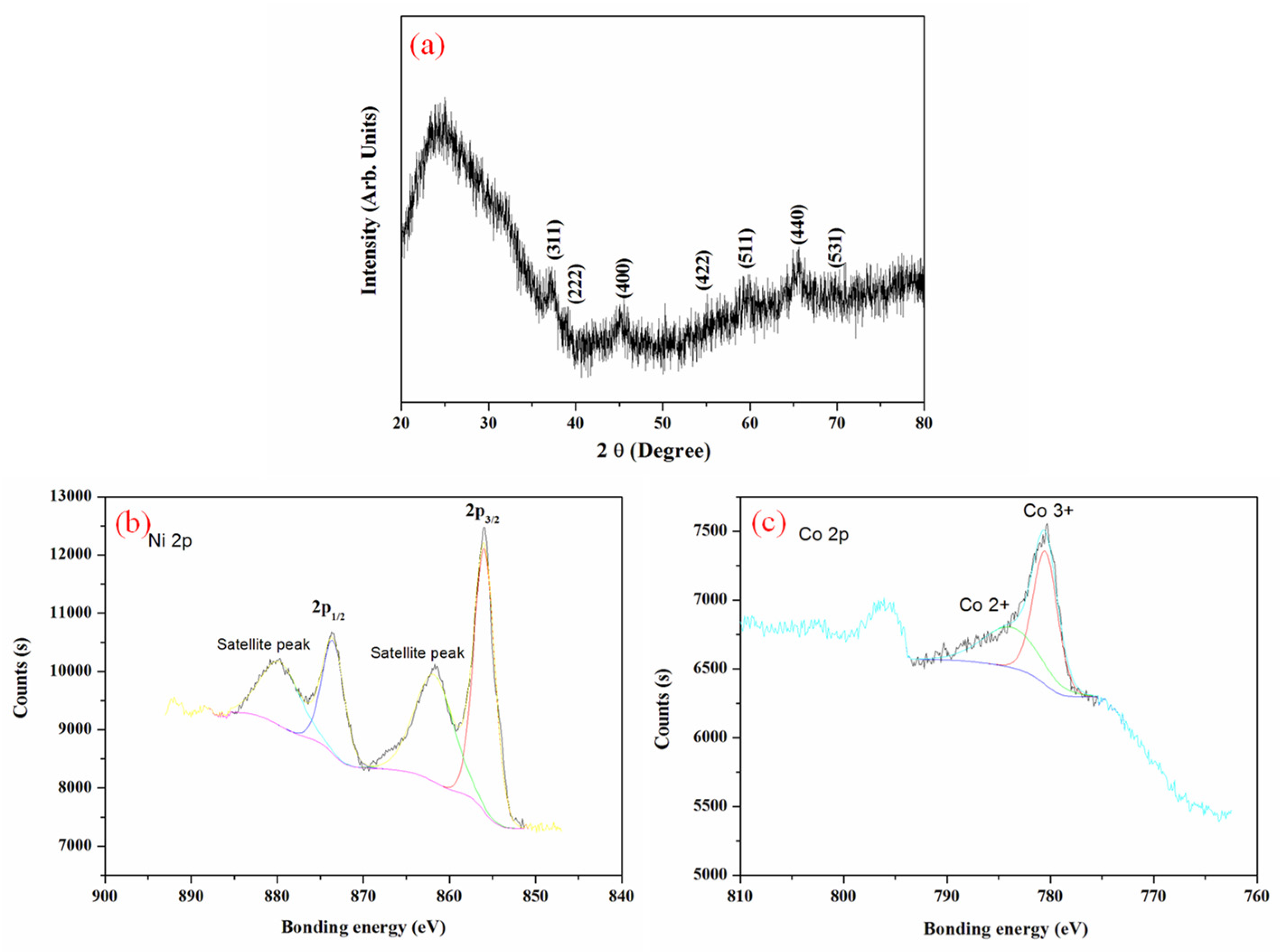 Nanomaterials 15 00029 g002