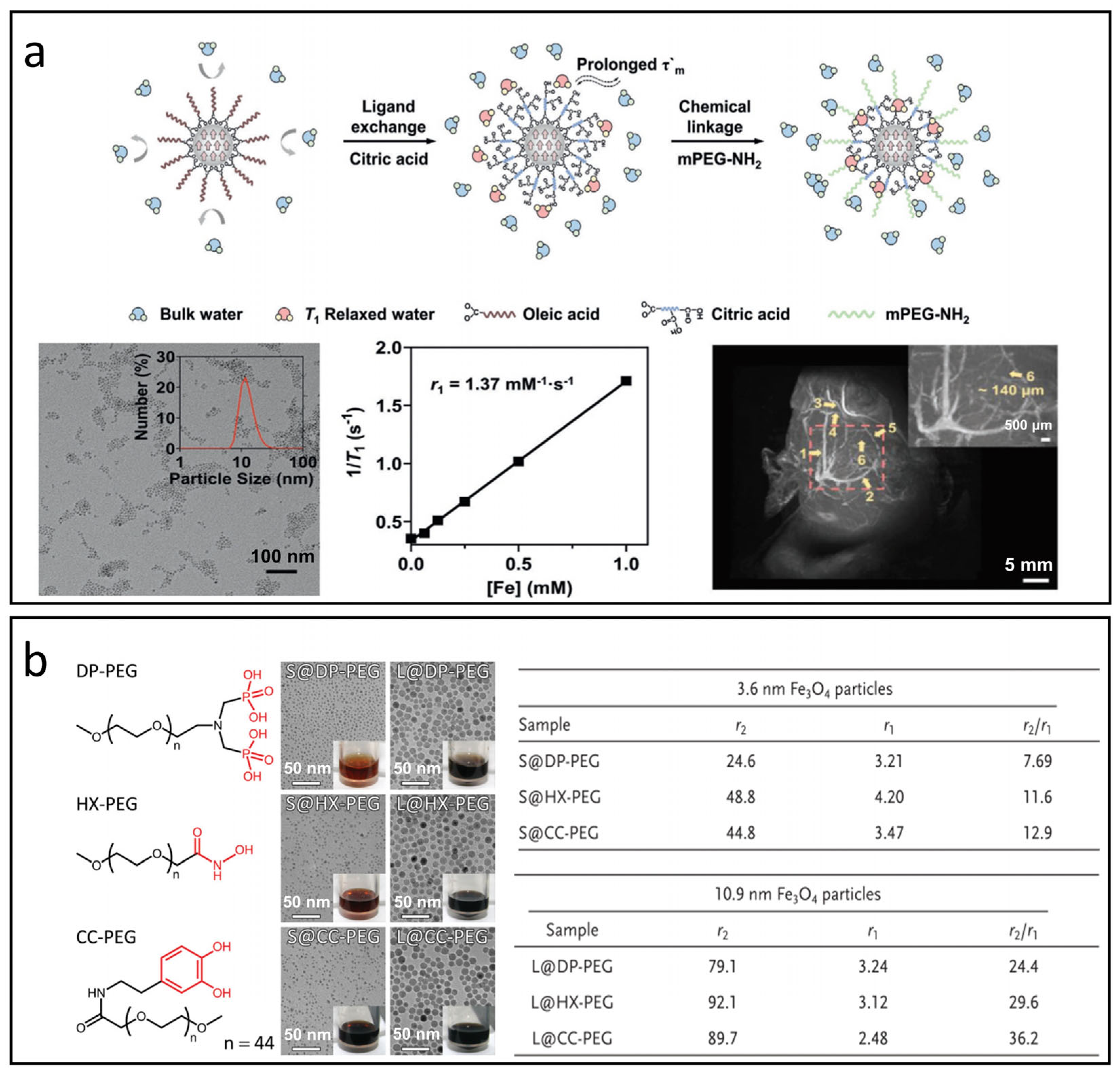 Nanomaterials 15 00033 g006 Nanomaterials 15 00033 g006