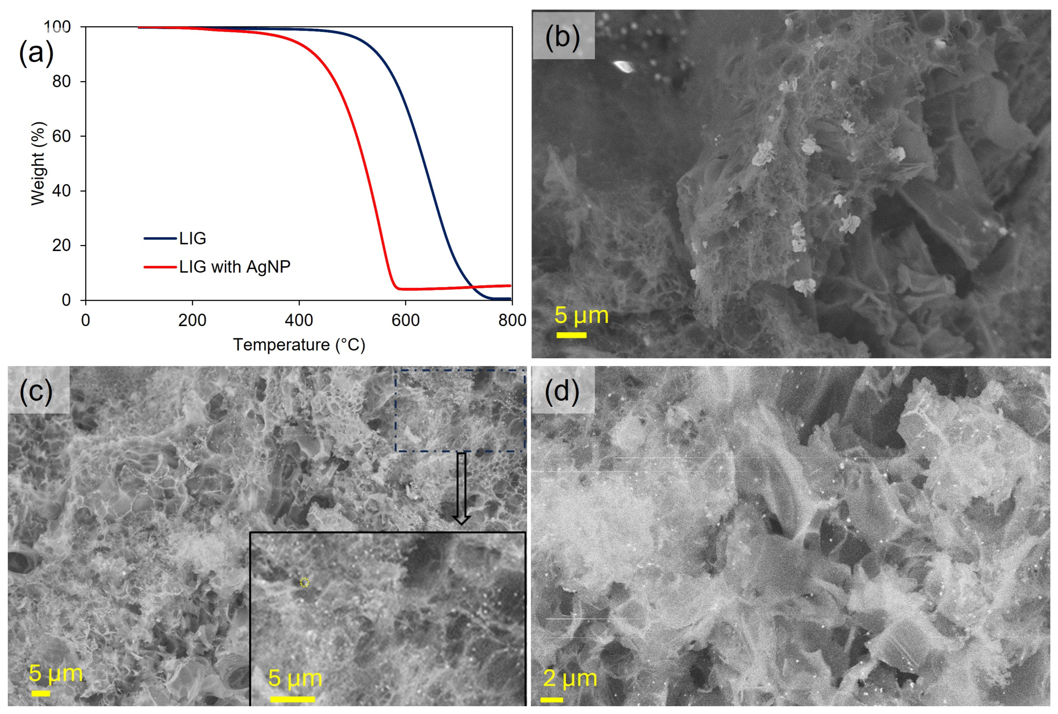 Nanomaterials 15 00035 g005
