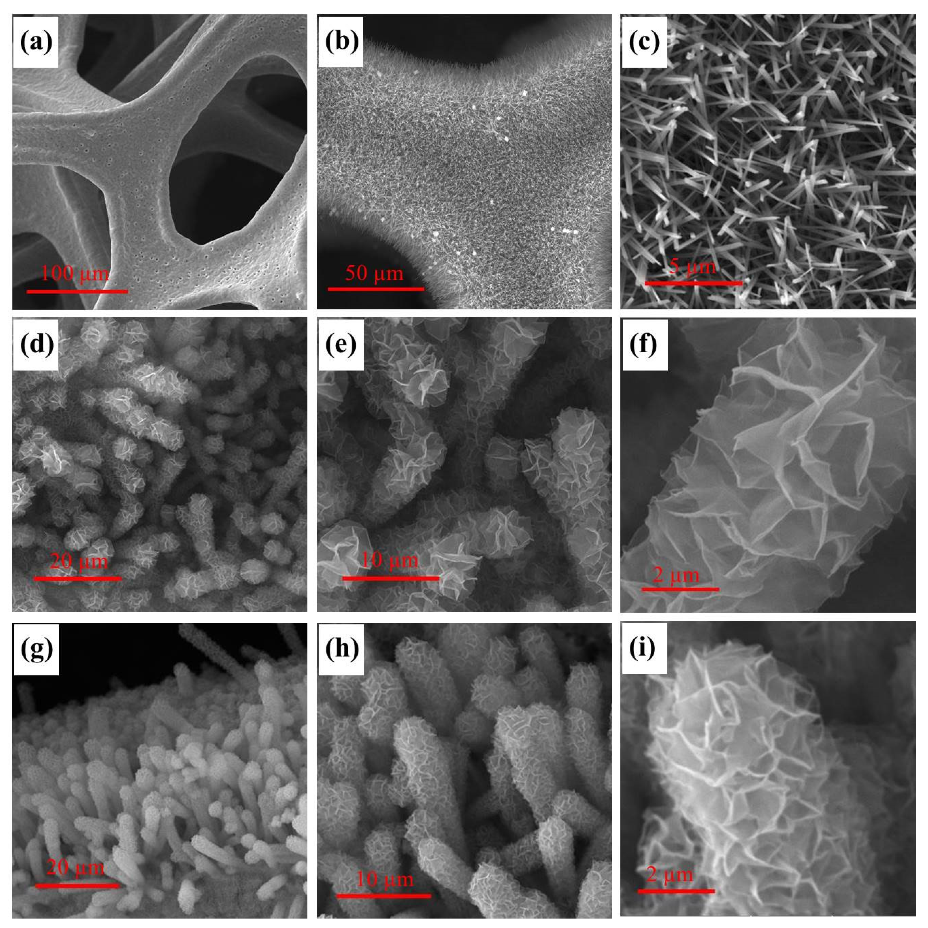 Nanomaterials 15 00047 g001