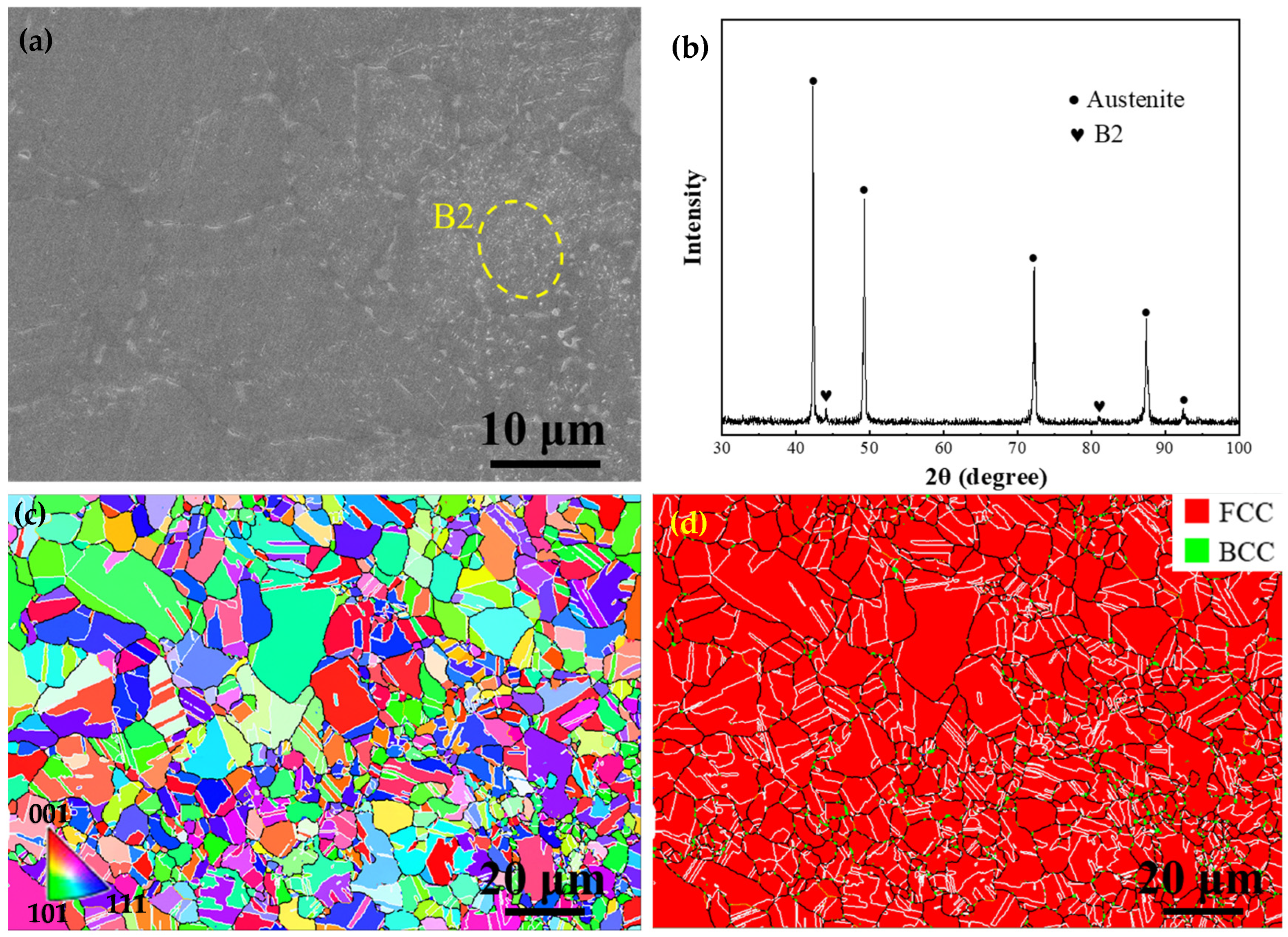 Nanomaterials 15 00048 g004