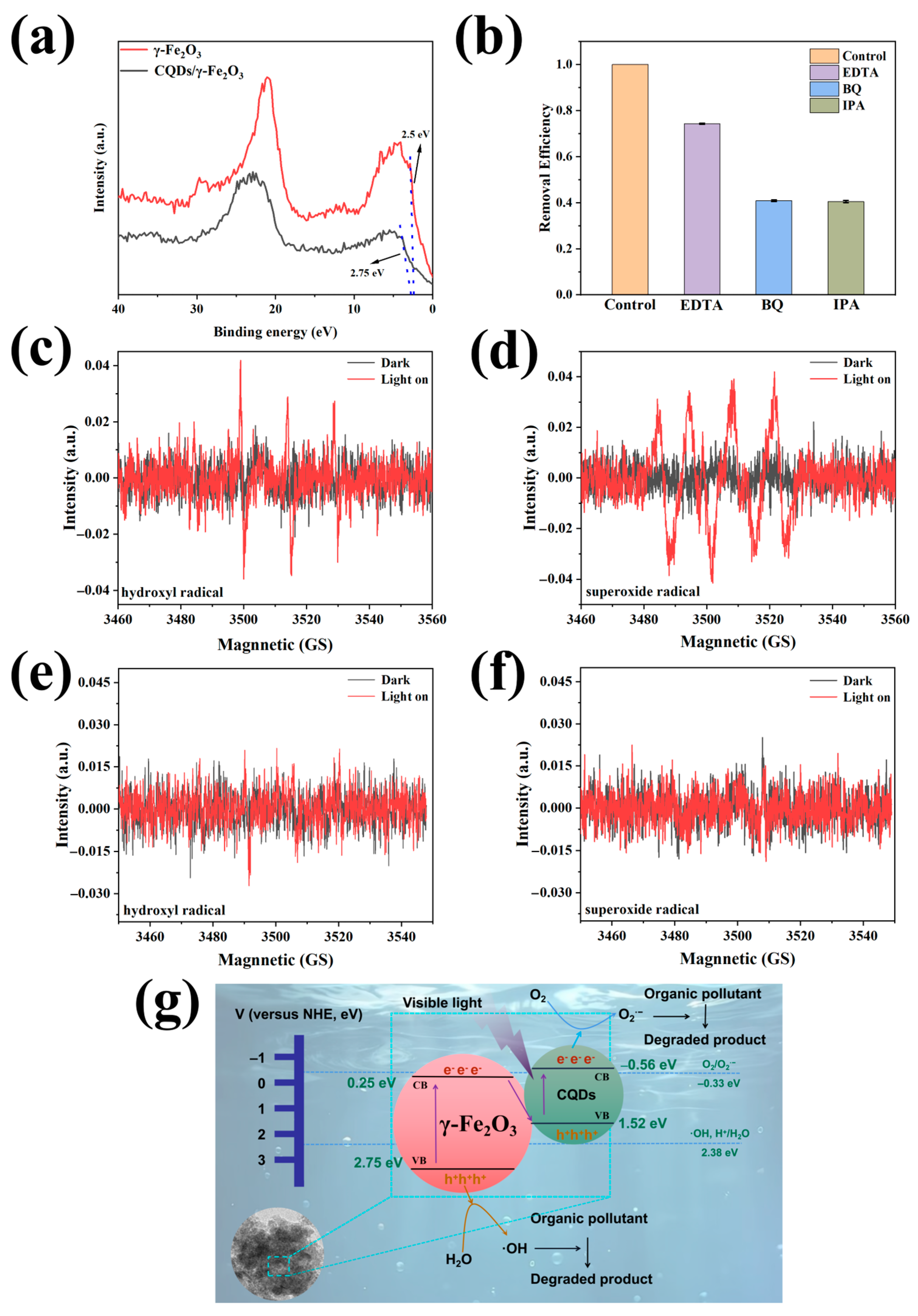Nanomaterials 15 00051 g011