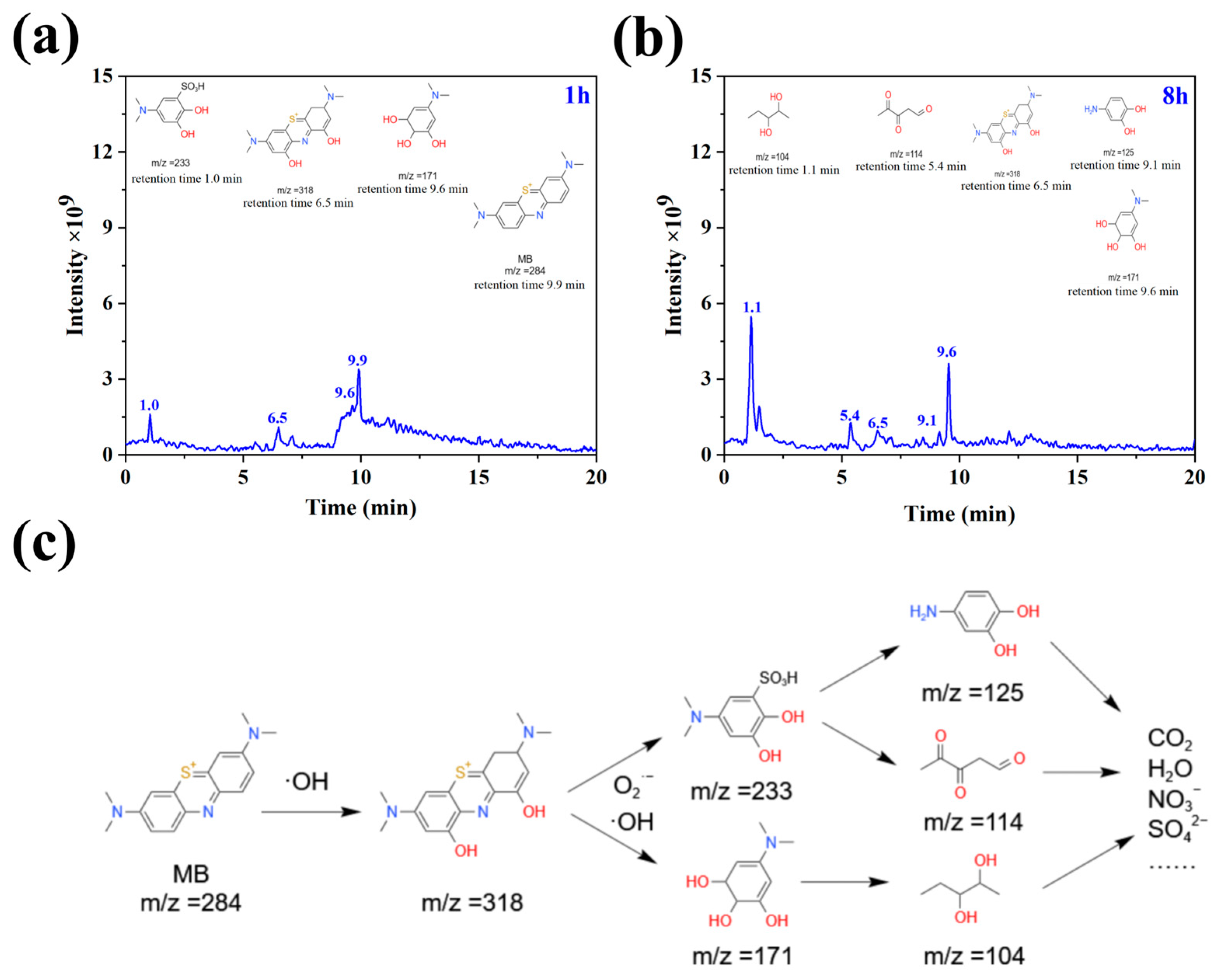 Nanomaterials 15 00051 g012