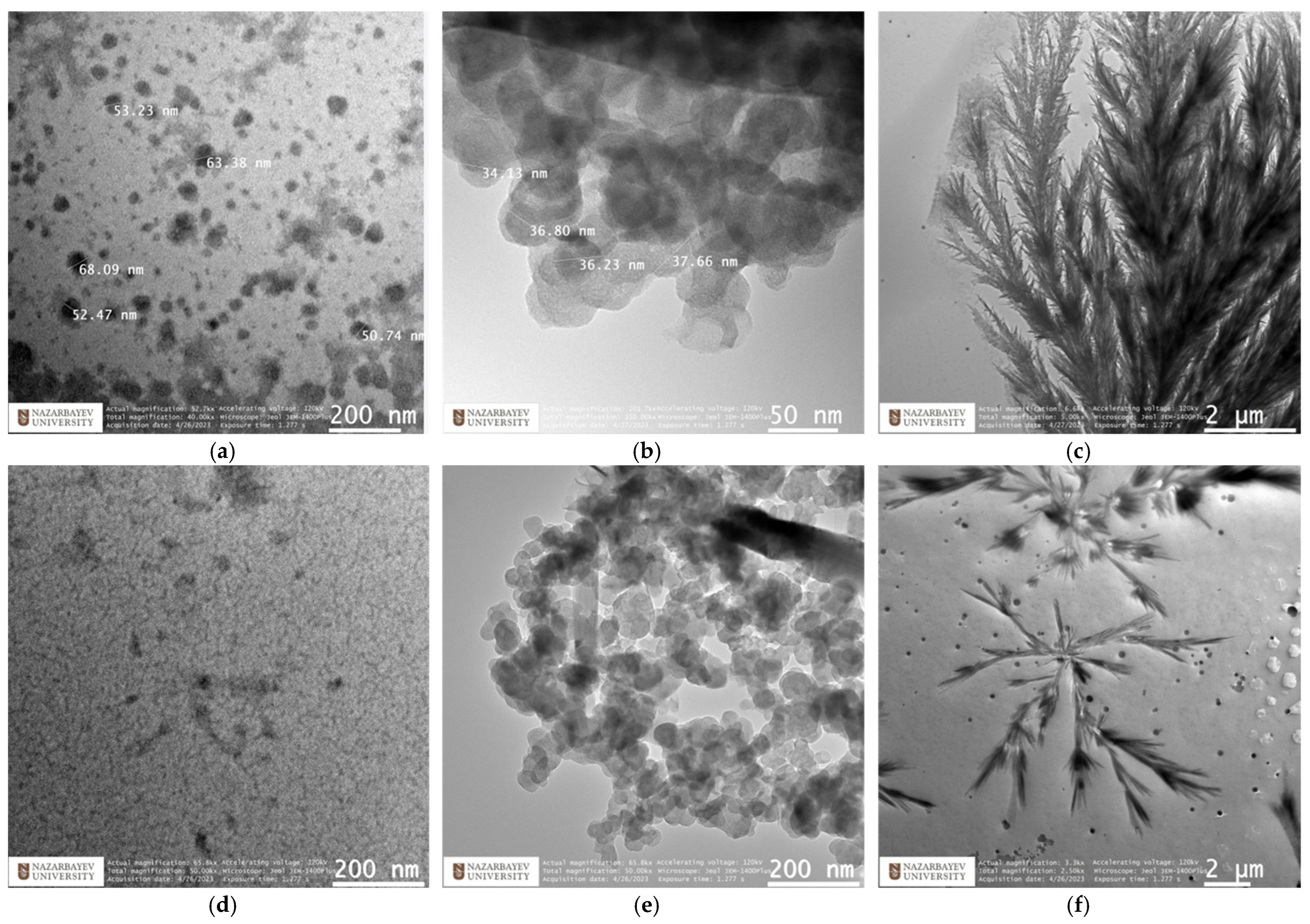 Nanomaterials 15 00058 g006