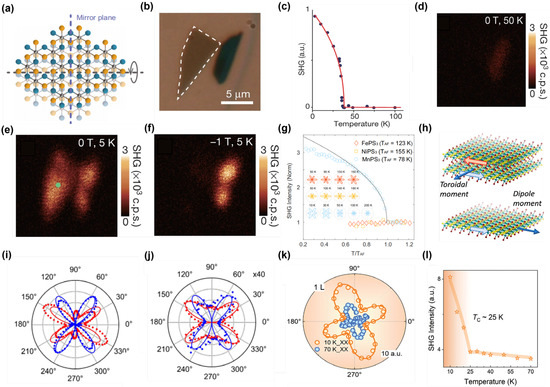 Nonlinear Optics in Two-Dimensional Magnetic Materials