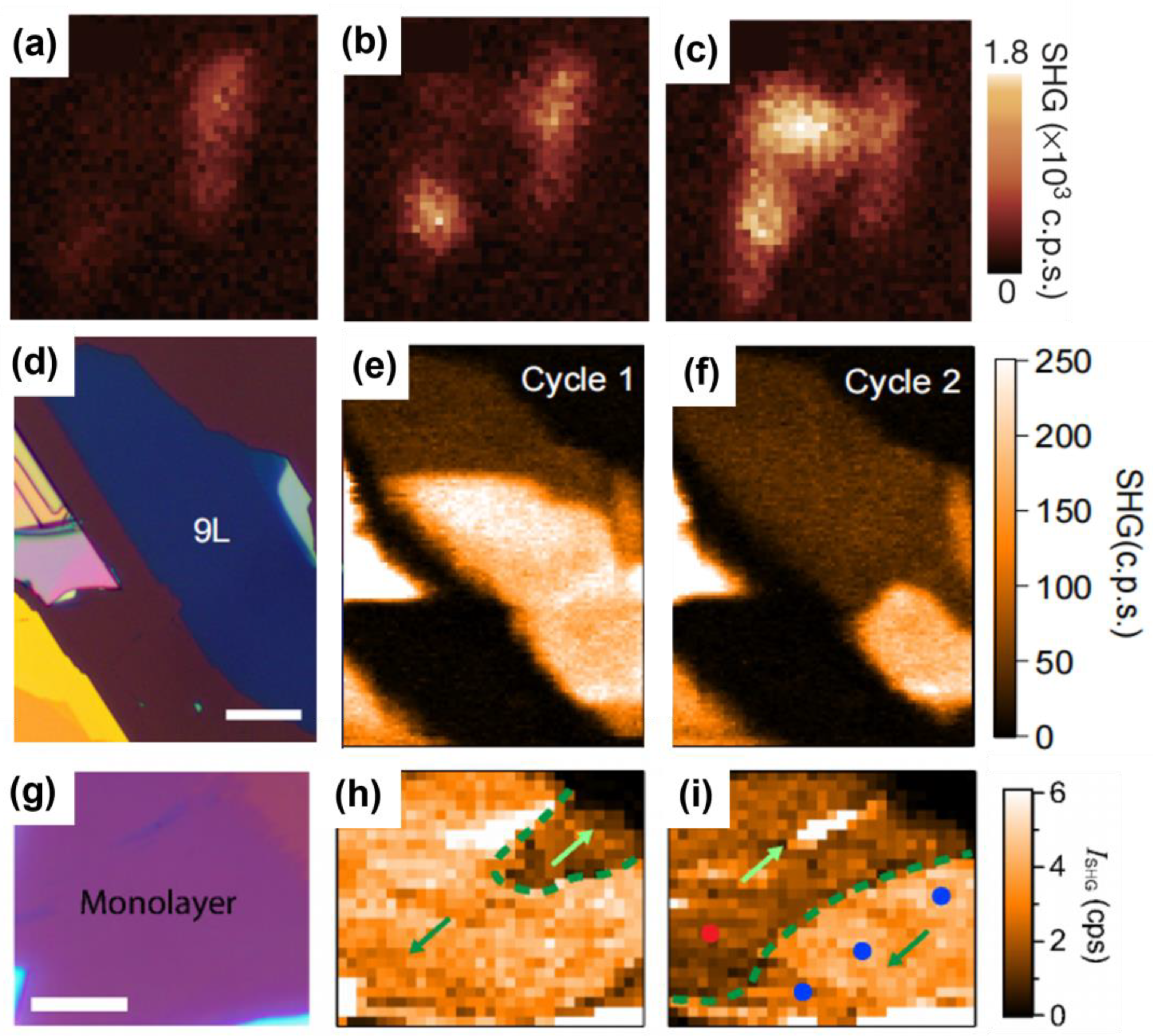 Nanomaterials 15 00063 g005