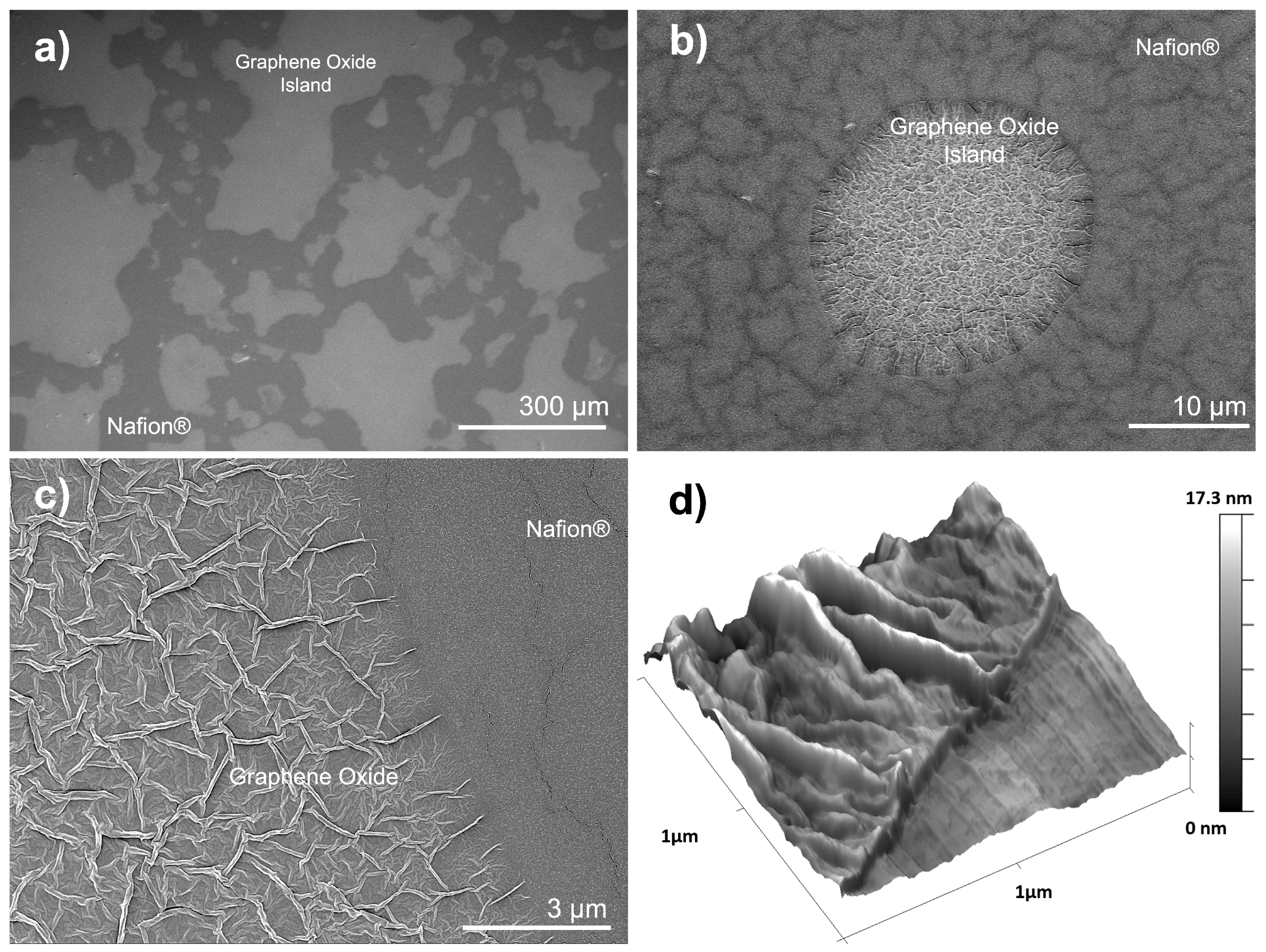 Nanomaterials 15 00068 g001