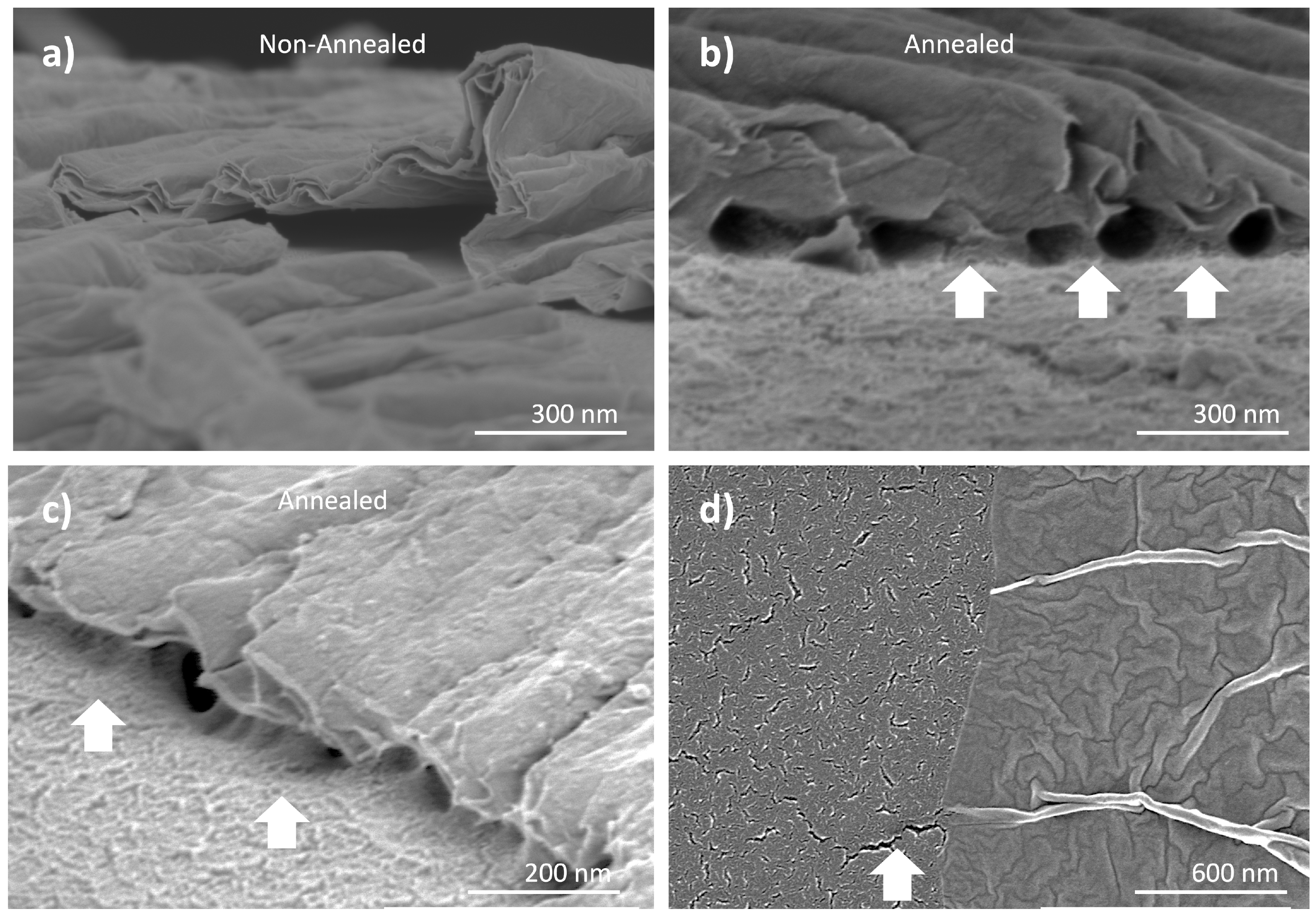 Nanomaterials 15 00068 g002
