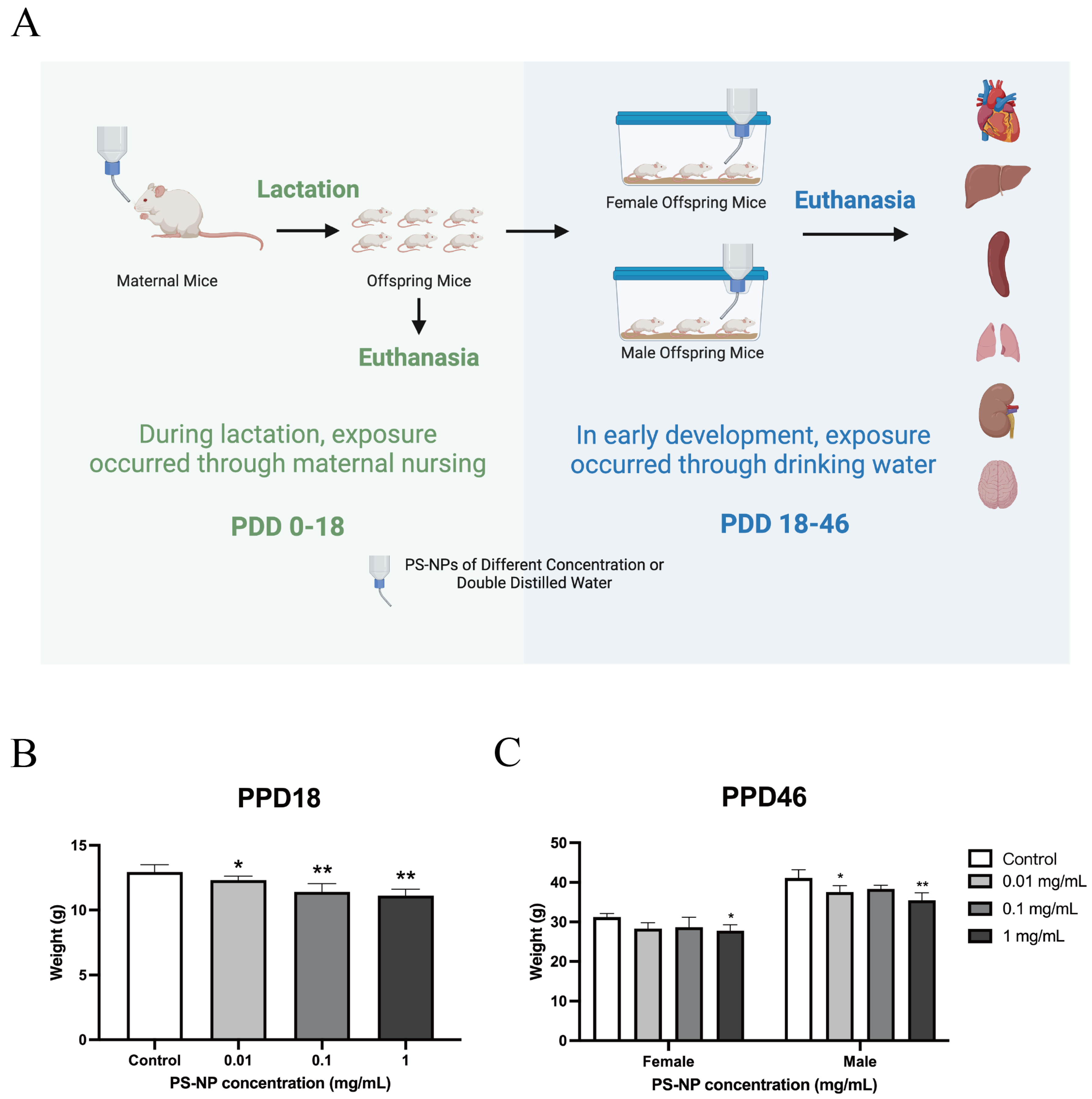 Nanomaterials 15 00069 g001