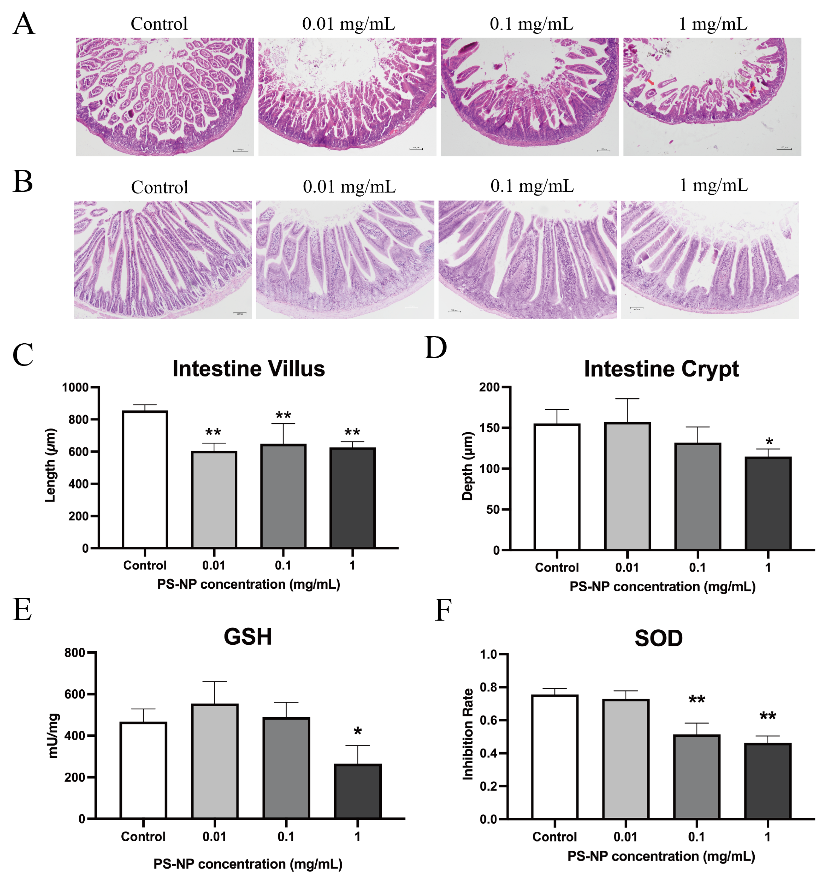 Nanomaterials 15 00069 g005
