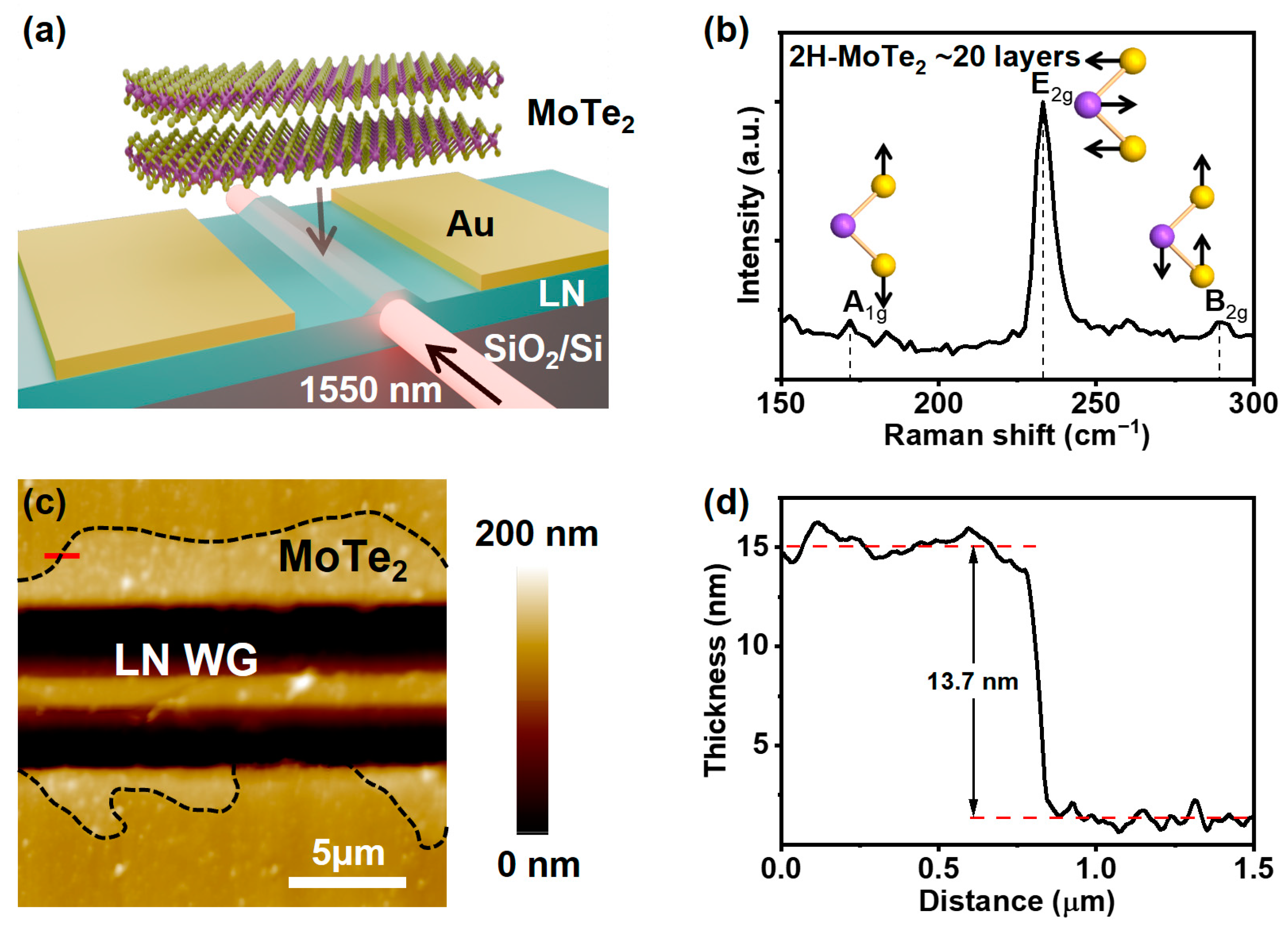 Nanomaterials 15 00072 g001