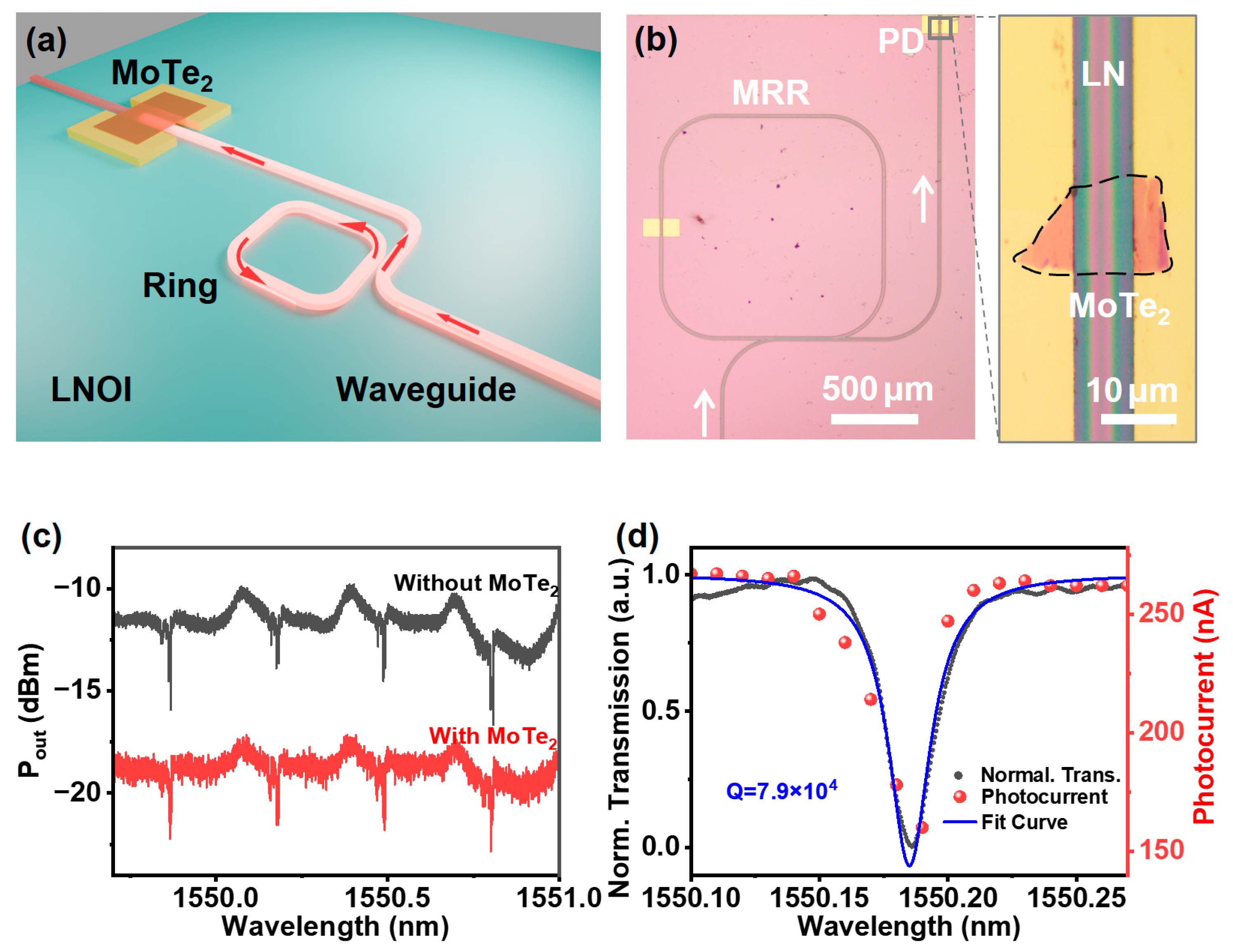 Nanomaterials 15 00072 g005