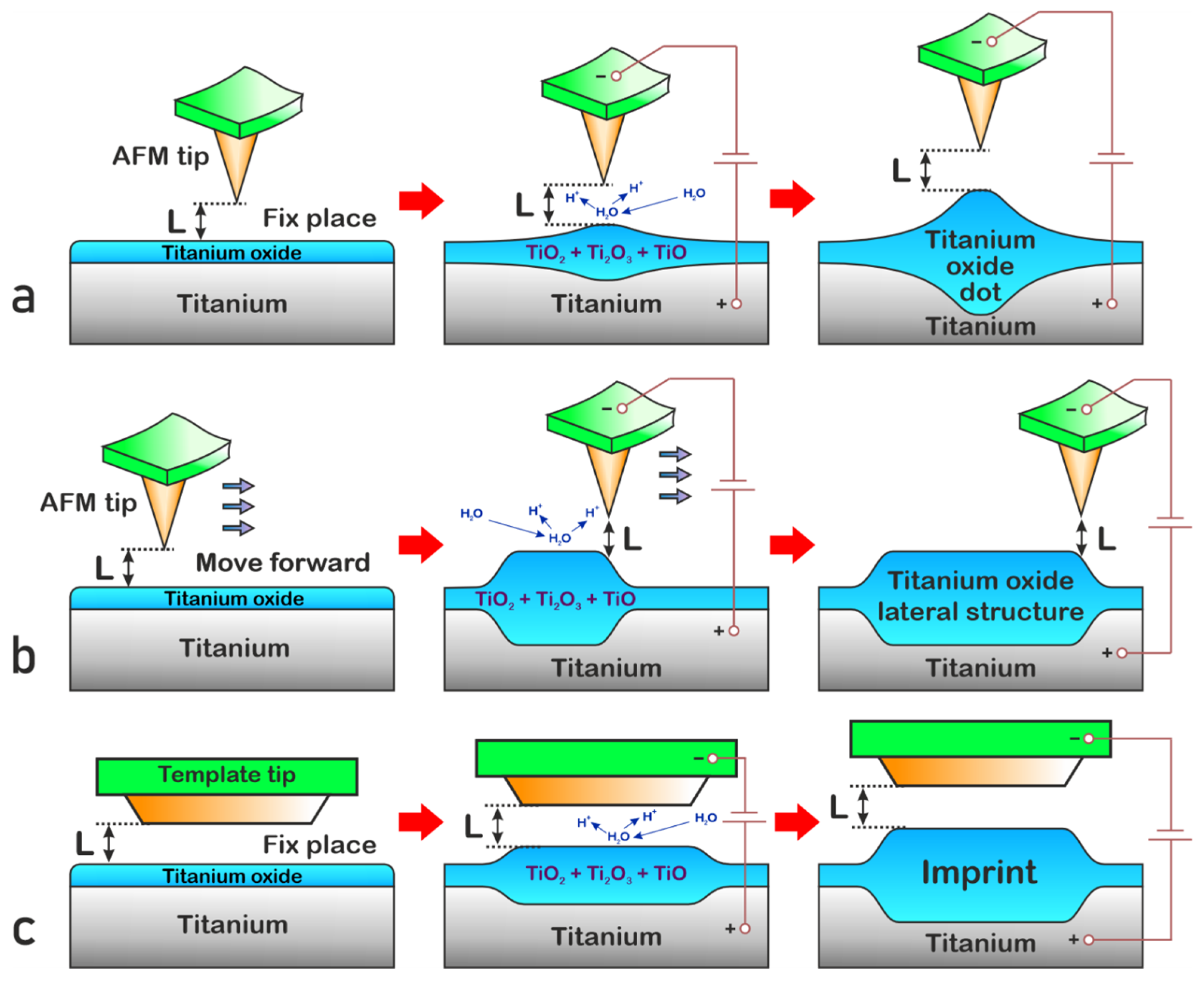 Nanomaterials 15 00075 g001