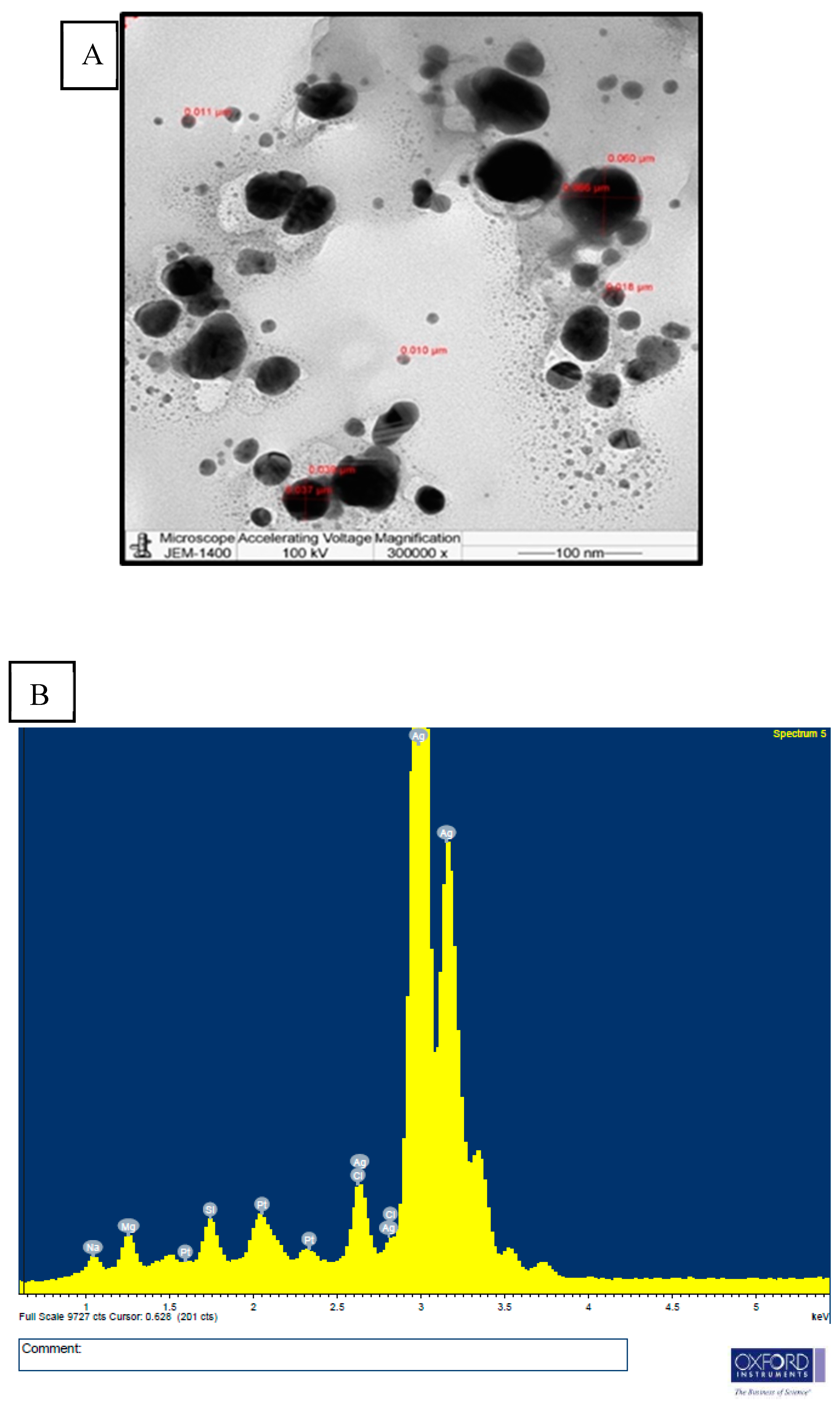 Nanomaterials 15 00077 g004