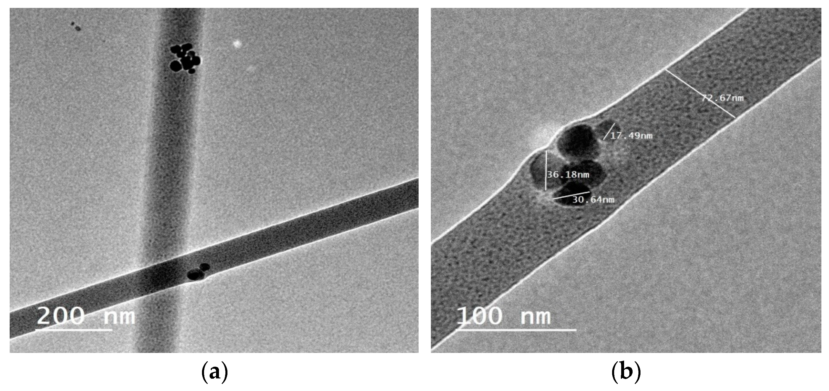 Nanomaterials 15 00082 g006