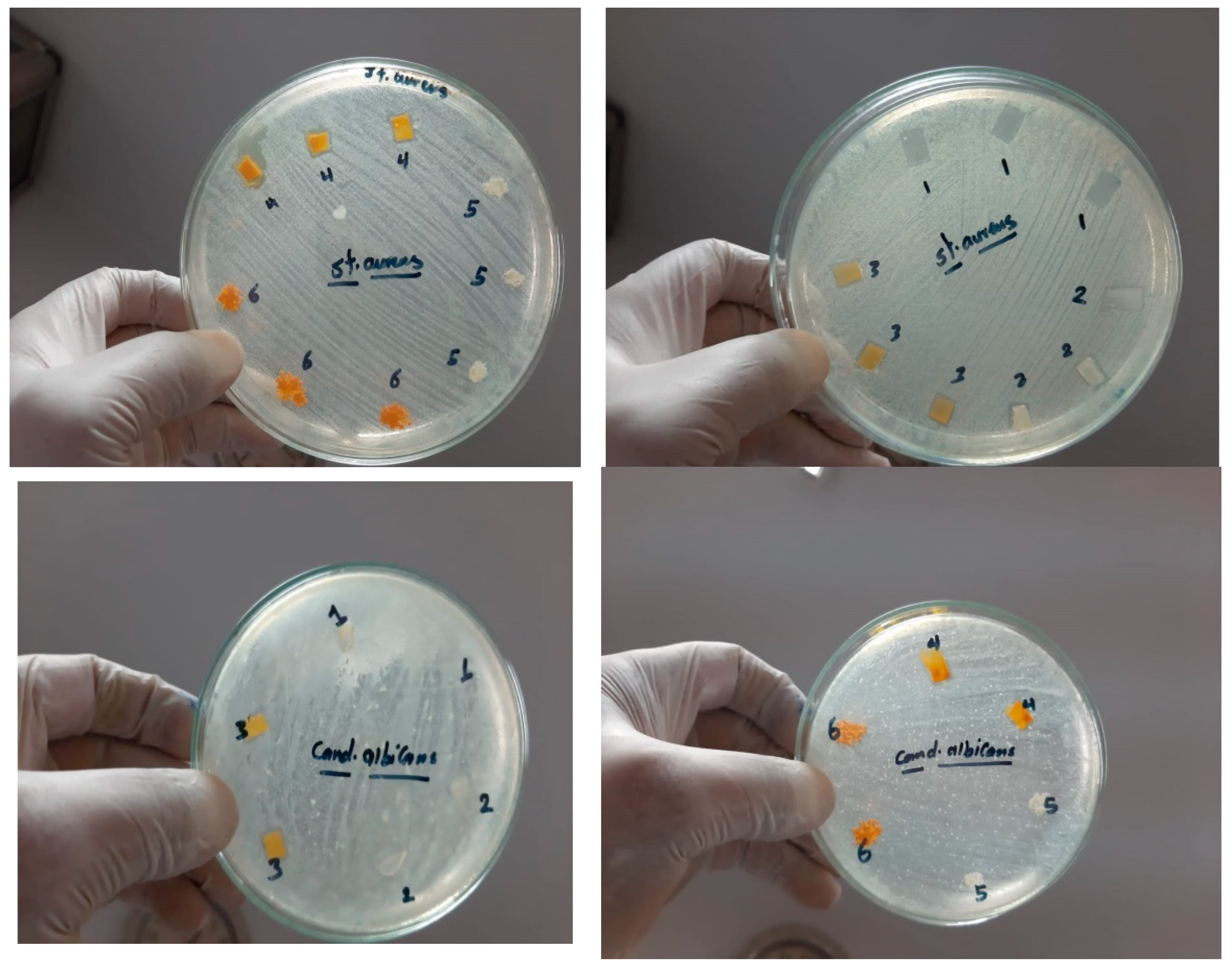 Nanomaterials 15 00082 g009b